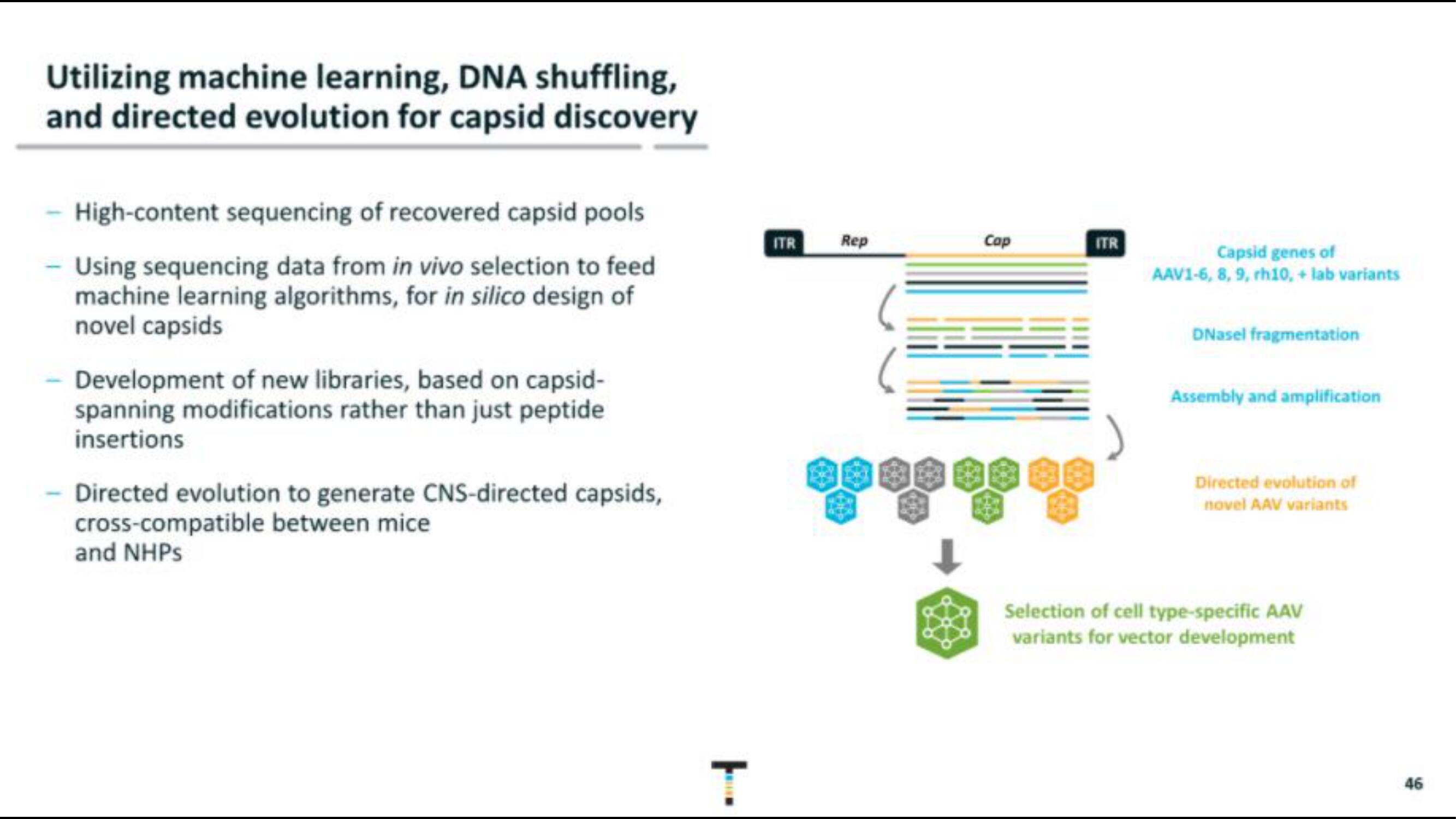 Taysha IPO Presentation Deck slide image #46