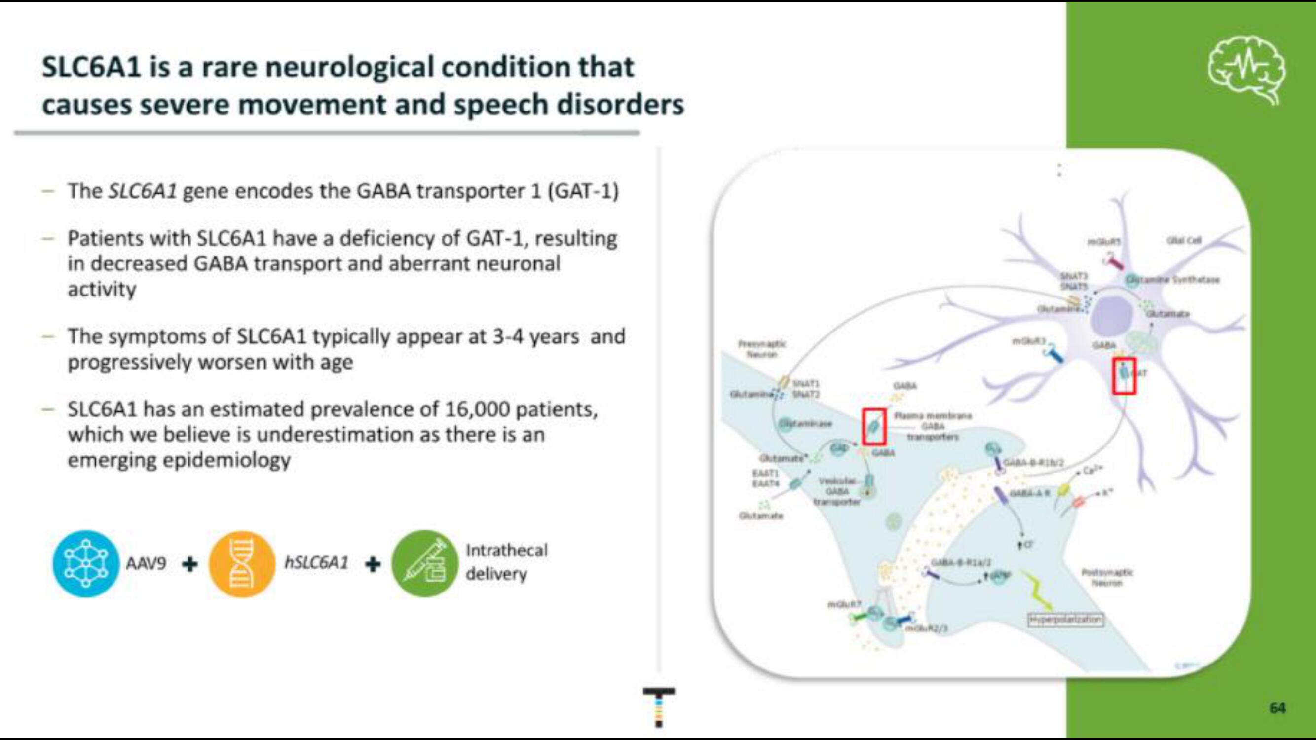 Taysha IPO Presentation Deck slide image #64