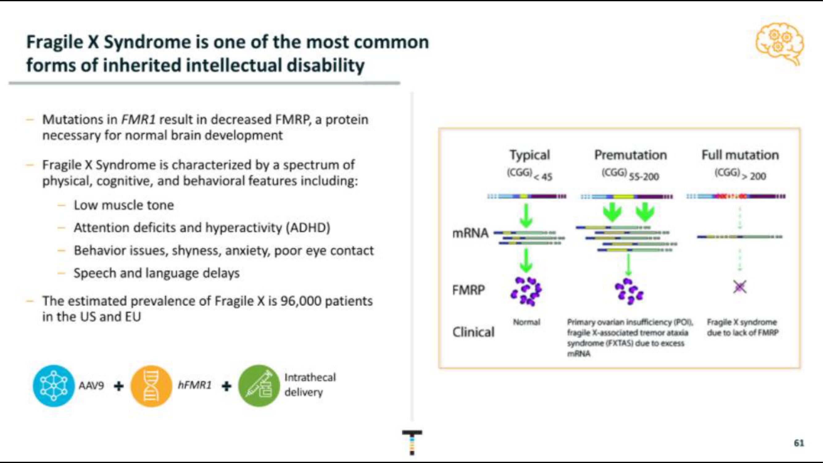 Taysha IPO Presentation Deck slide image #61