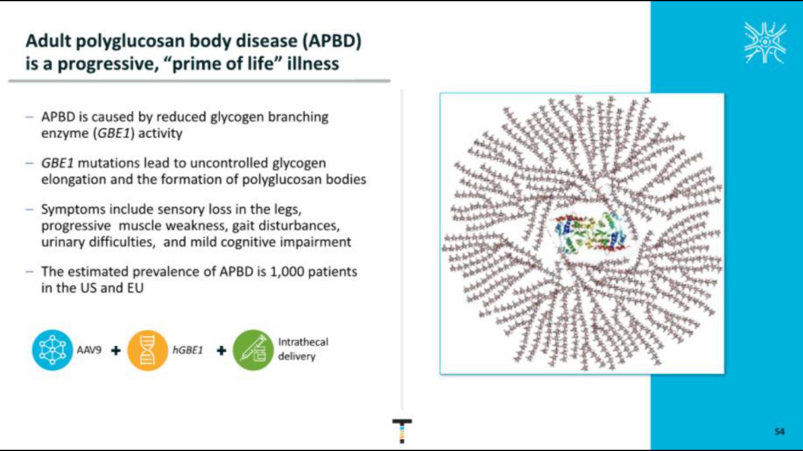 Taysha IPO Presentation Deck slide image #54