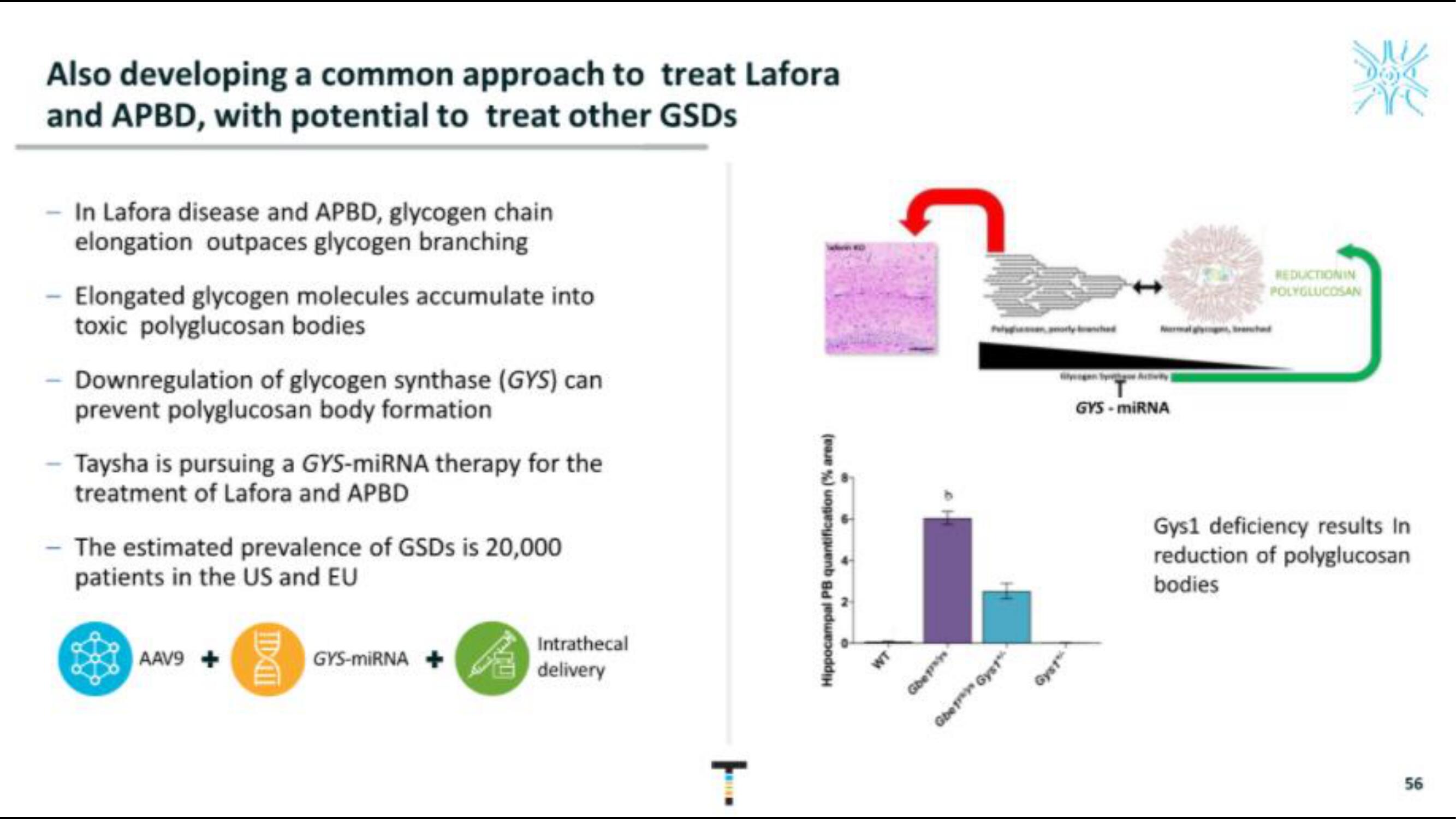 Taysha IPO Presentation Deck slide image #56