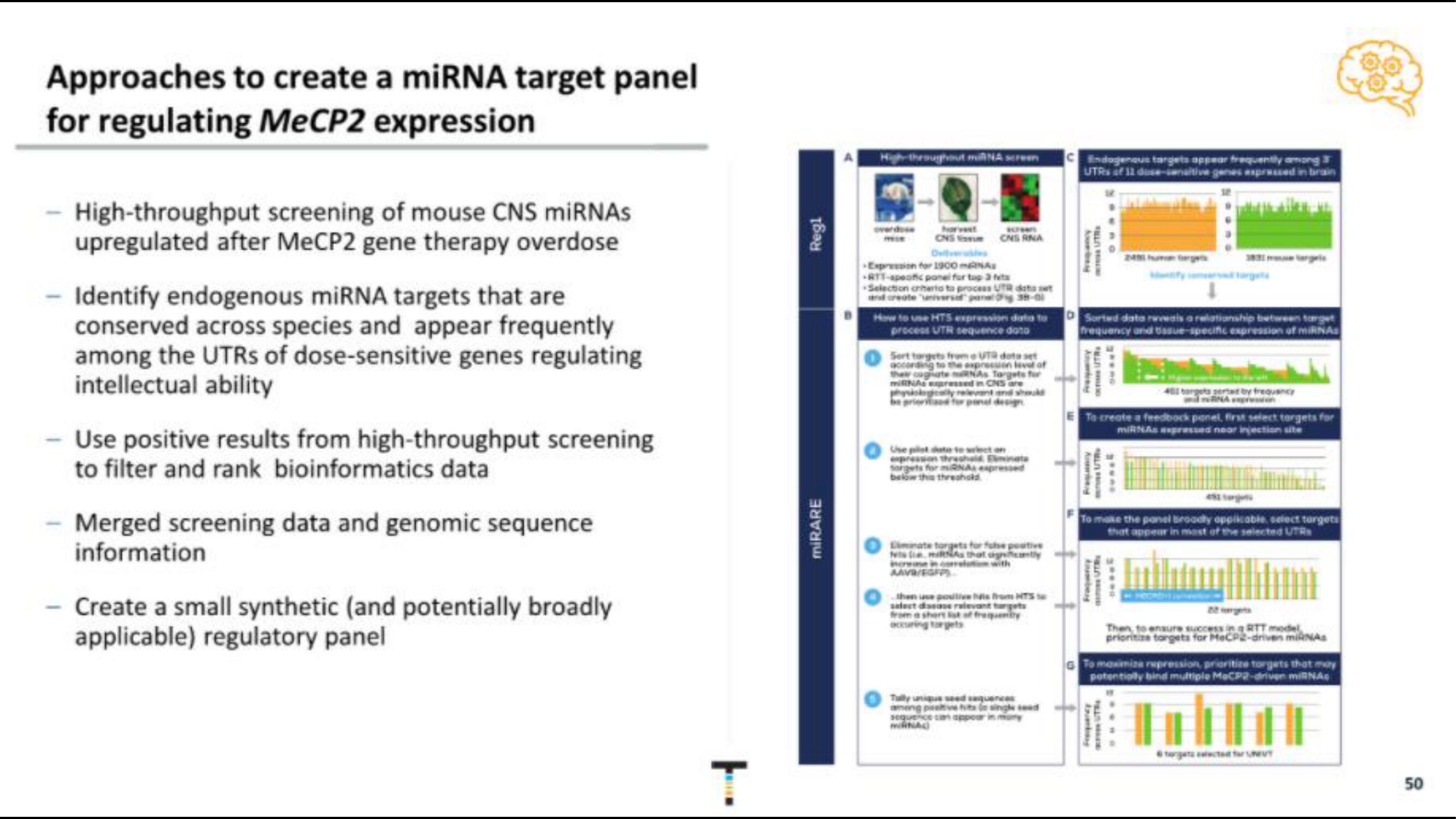 Taysha IPO Presentation Deck slide image #50