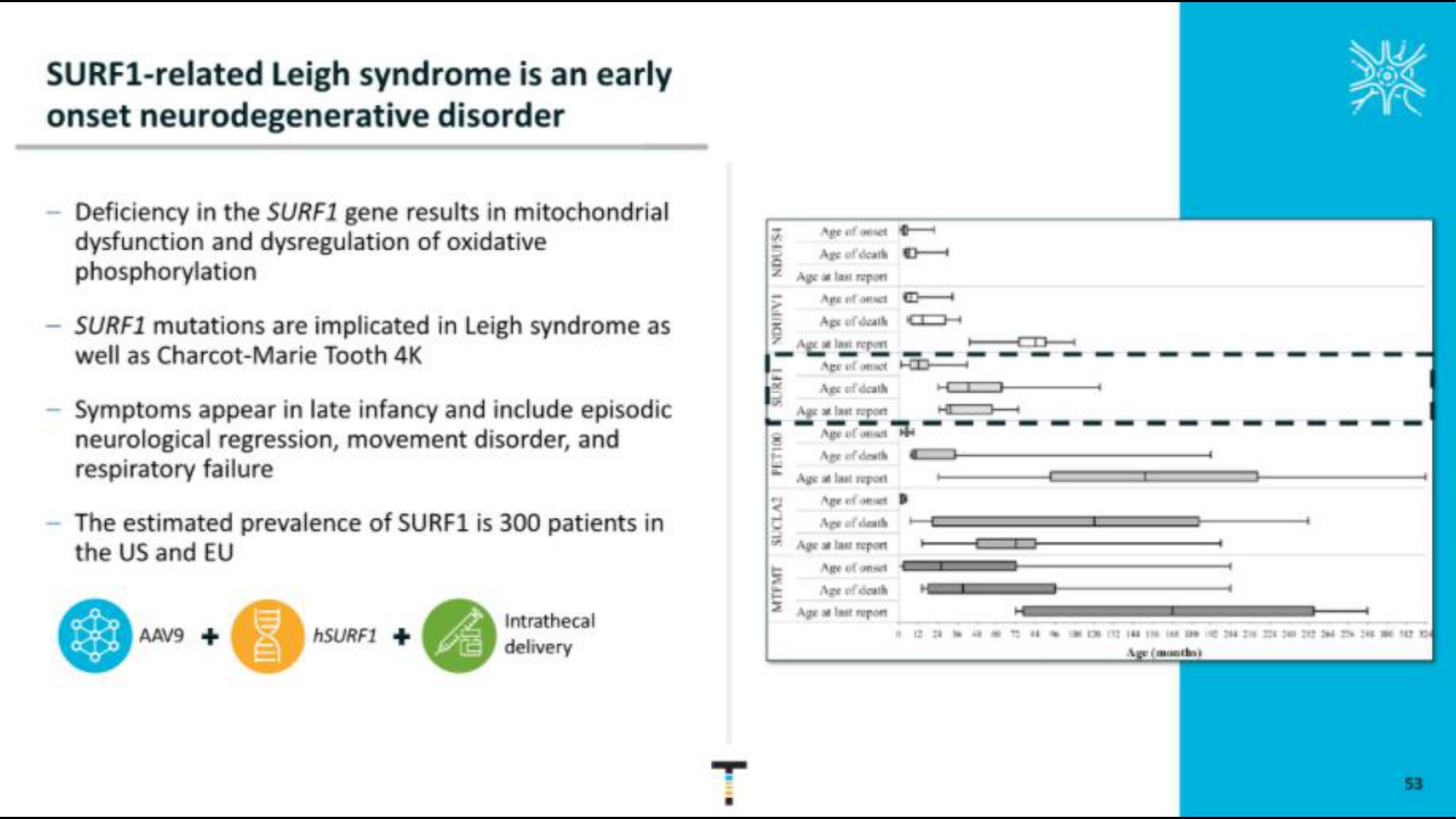 Taysha IPO Presentation Deck slide image #53