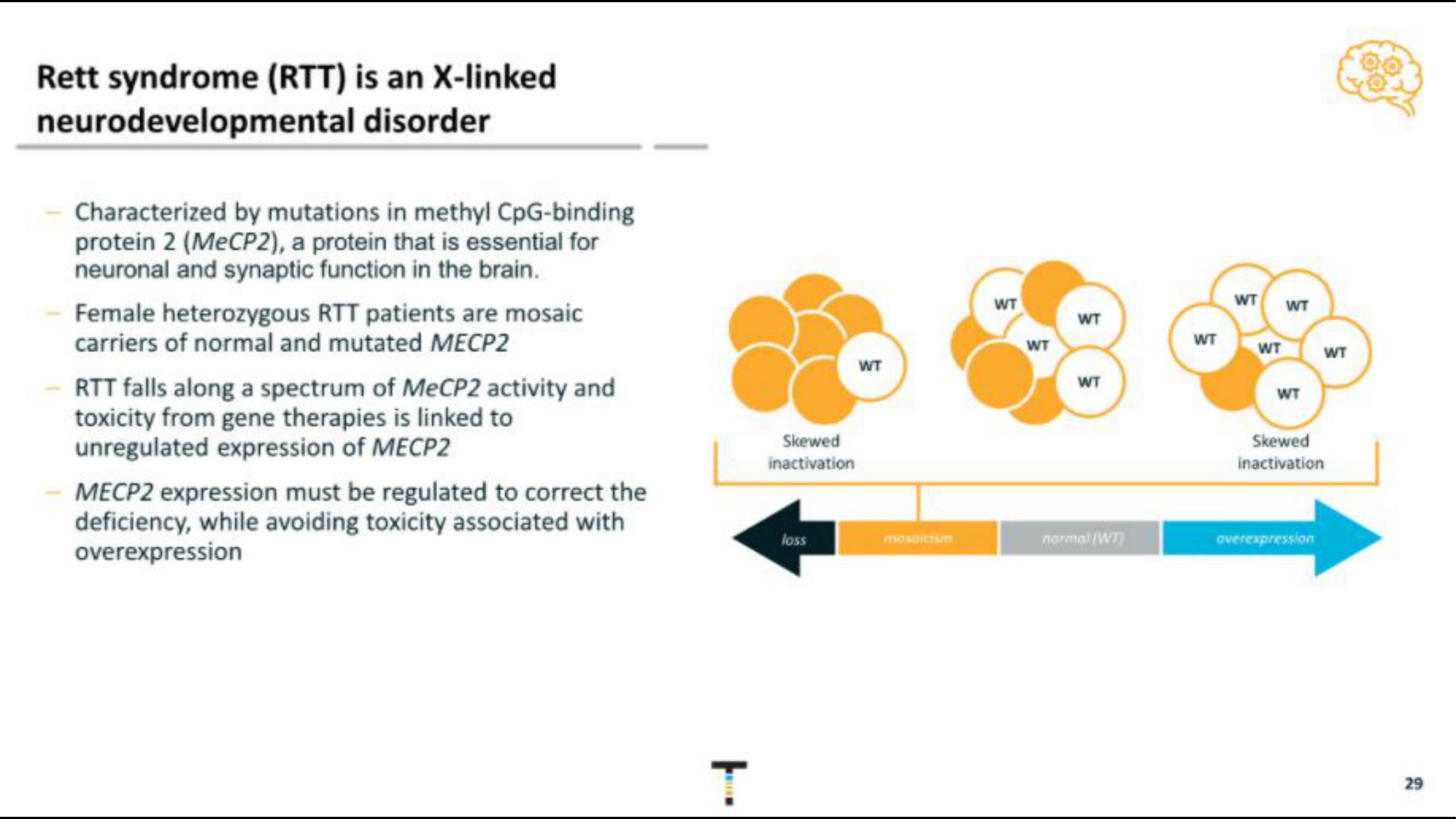 Taysha IPO Presentation Deck slide image #29