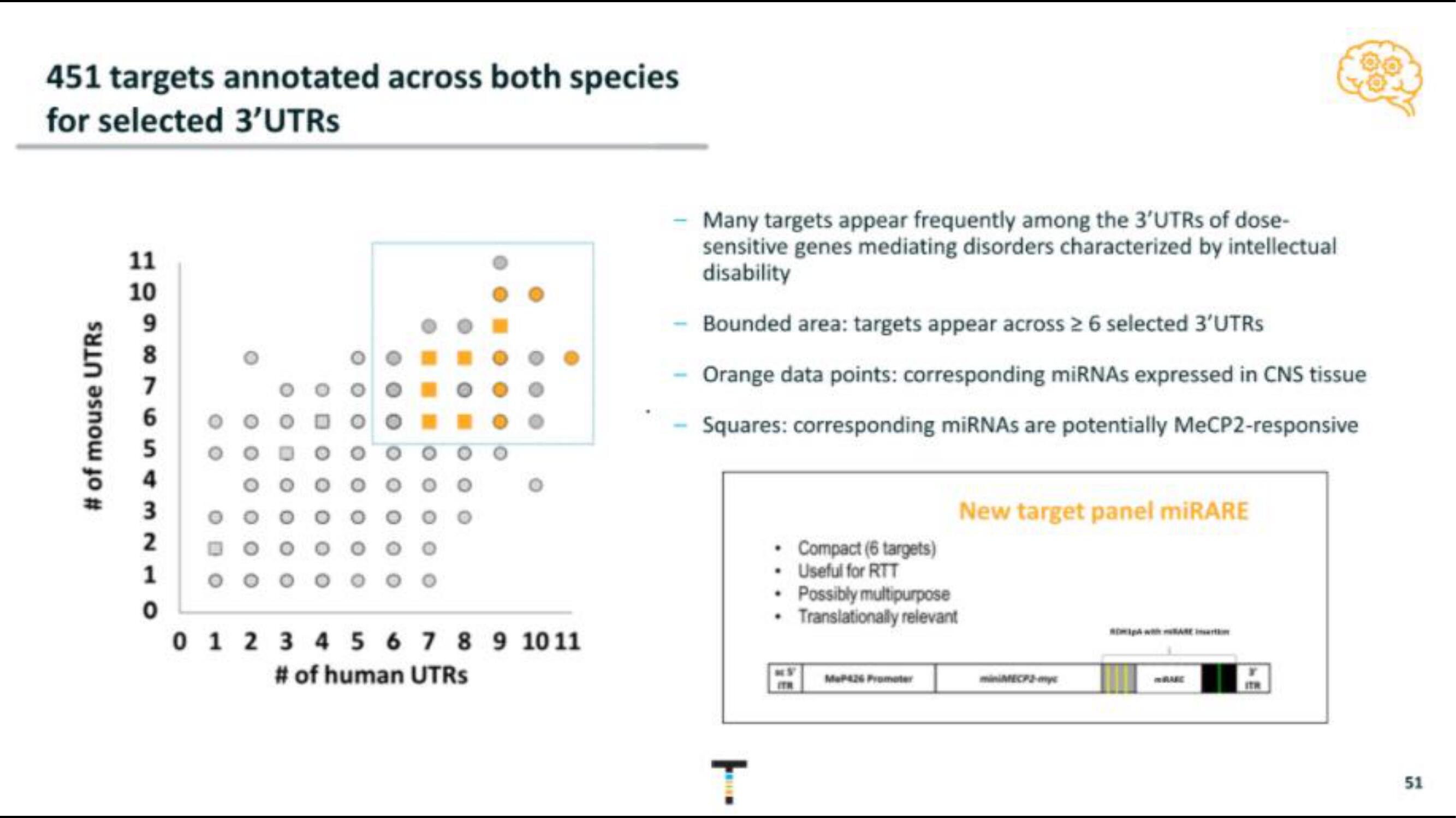 Taysha IPO Presentation Deck slide image #51