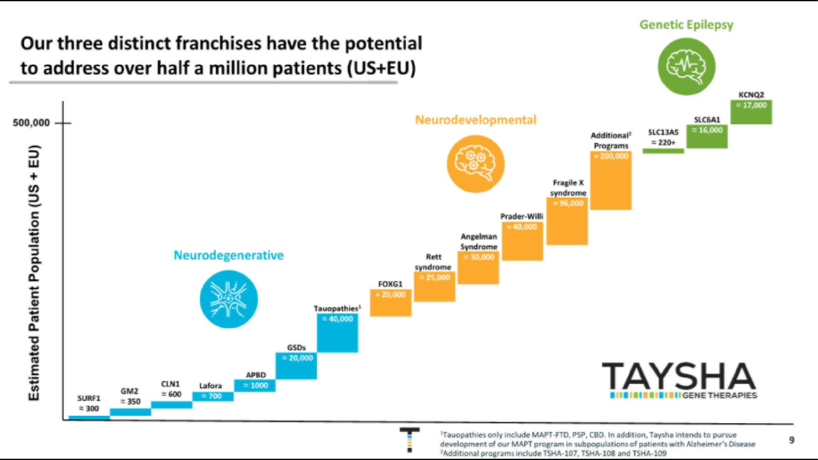 Taysha IPO Presentation Deck slide image #9