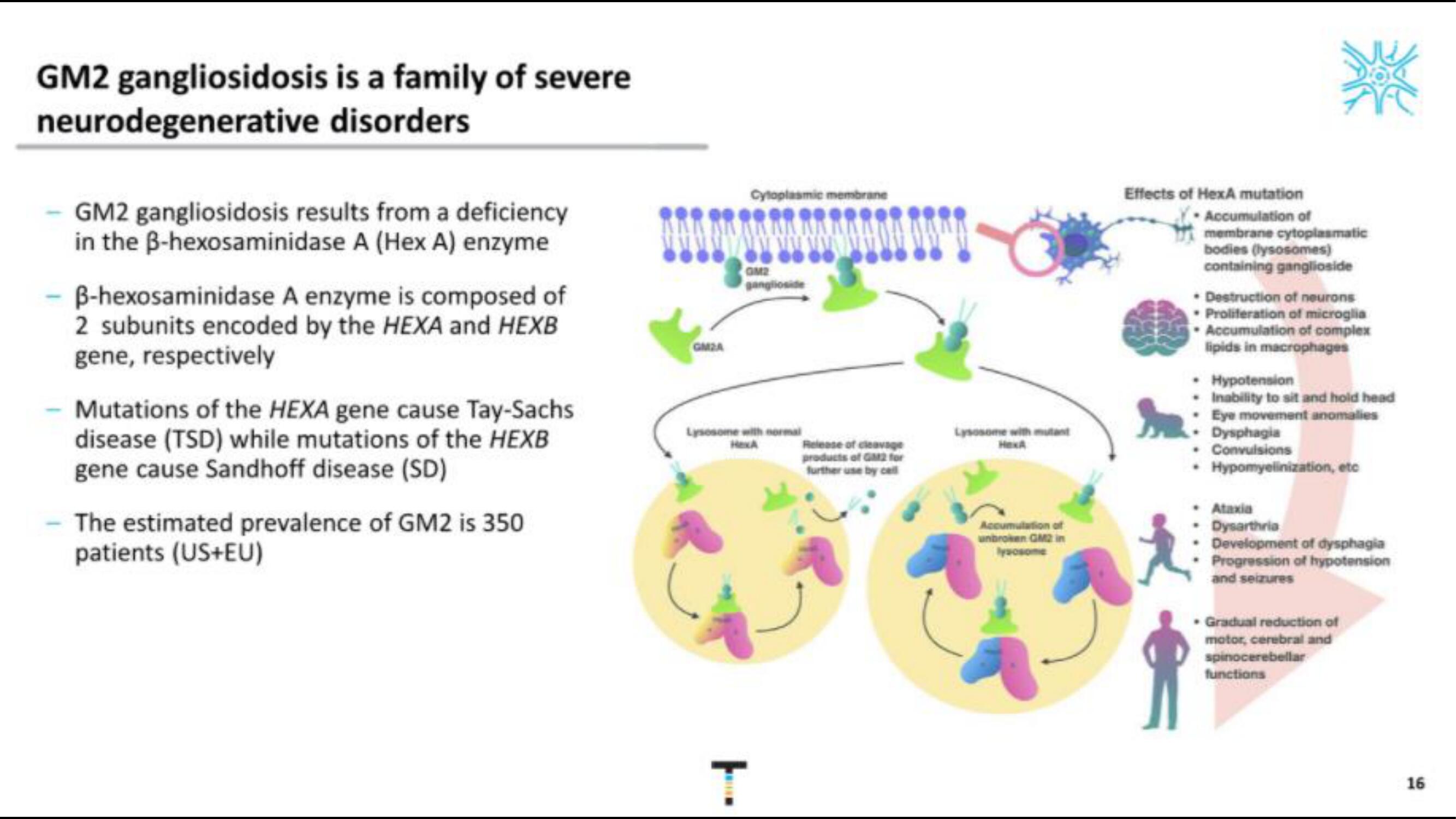 Taysha IPO Presentation Deck slide image #16