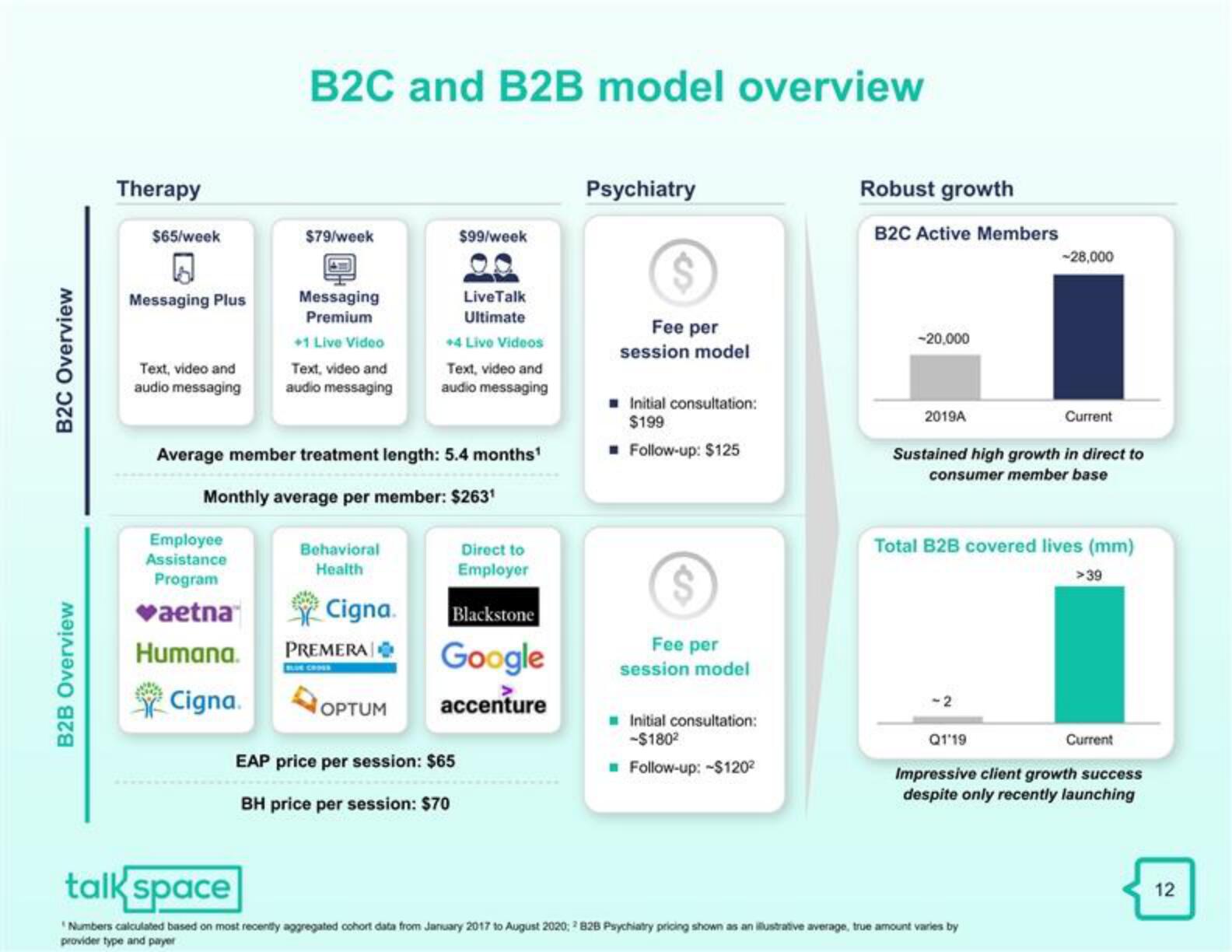 Talkspace SPAC Presentation Deck slide image #13