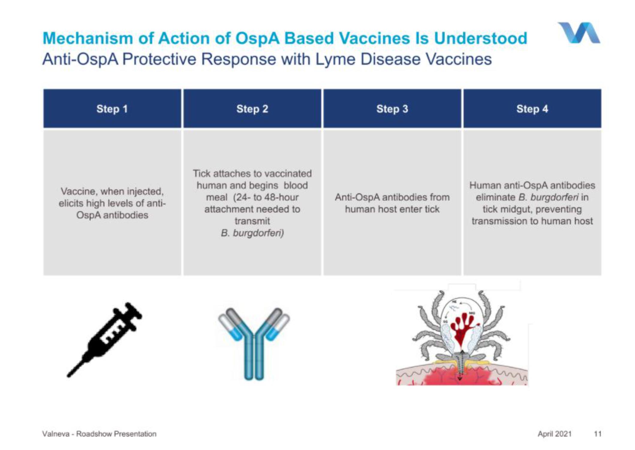 Valneva IPO Presentation Deck slide image #11