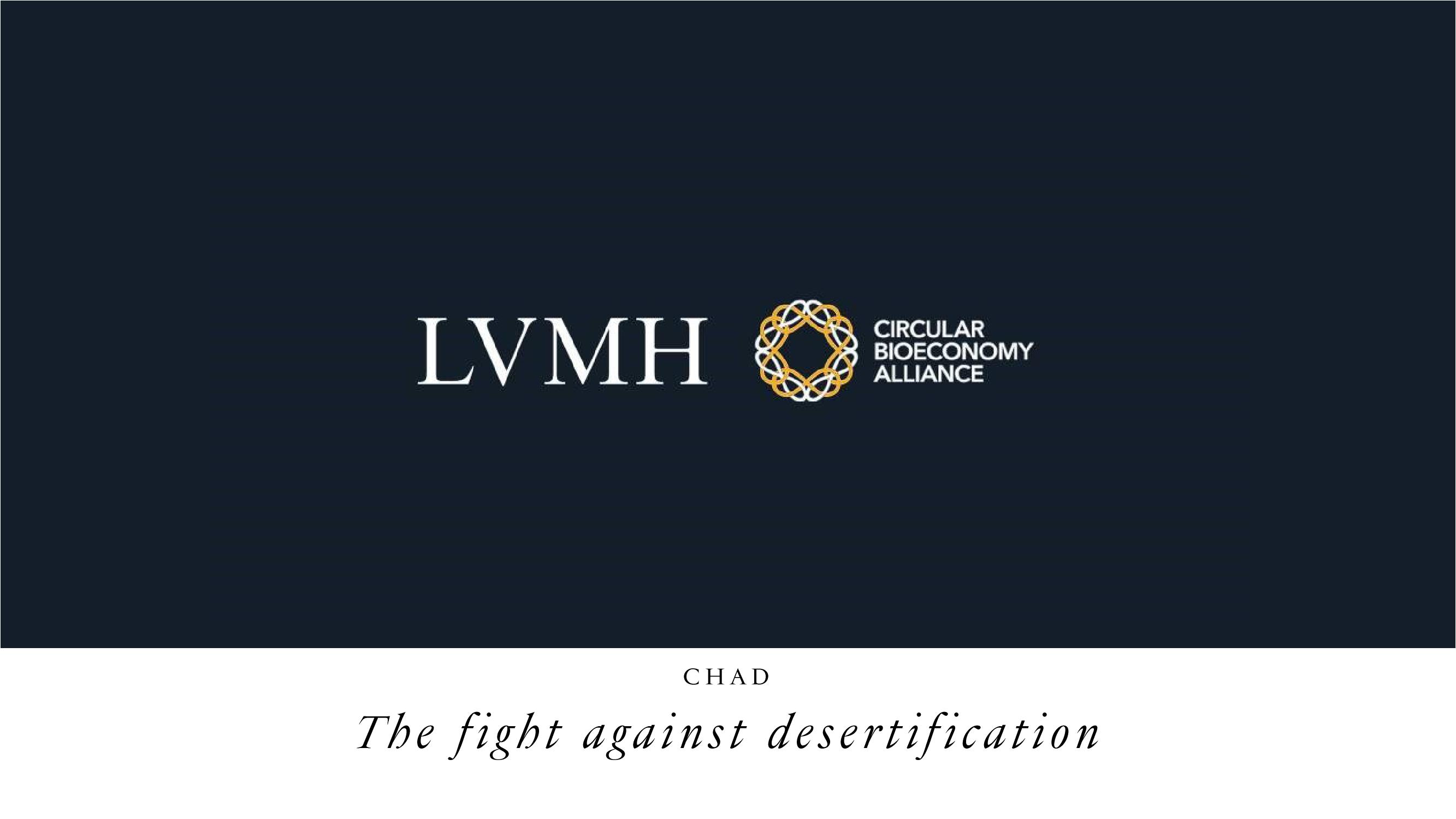 LVMH Shareholder Engagement Presentation Deck slide image #31