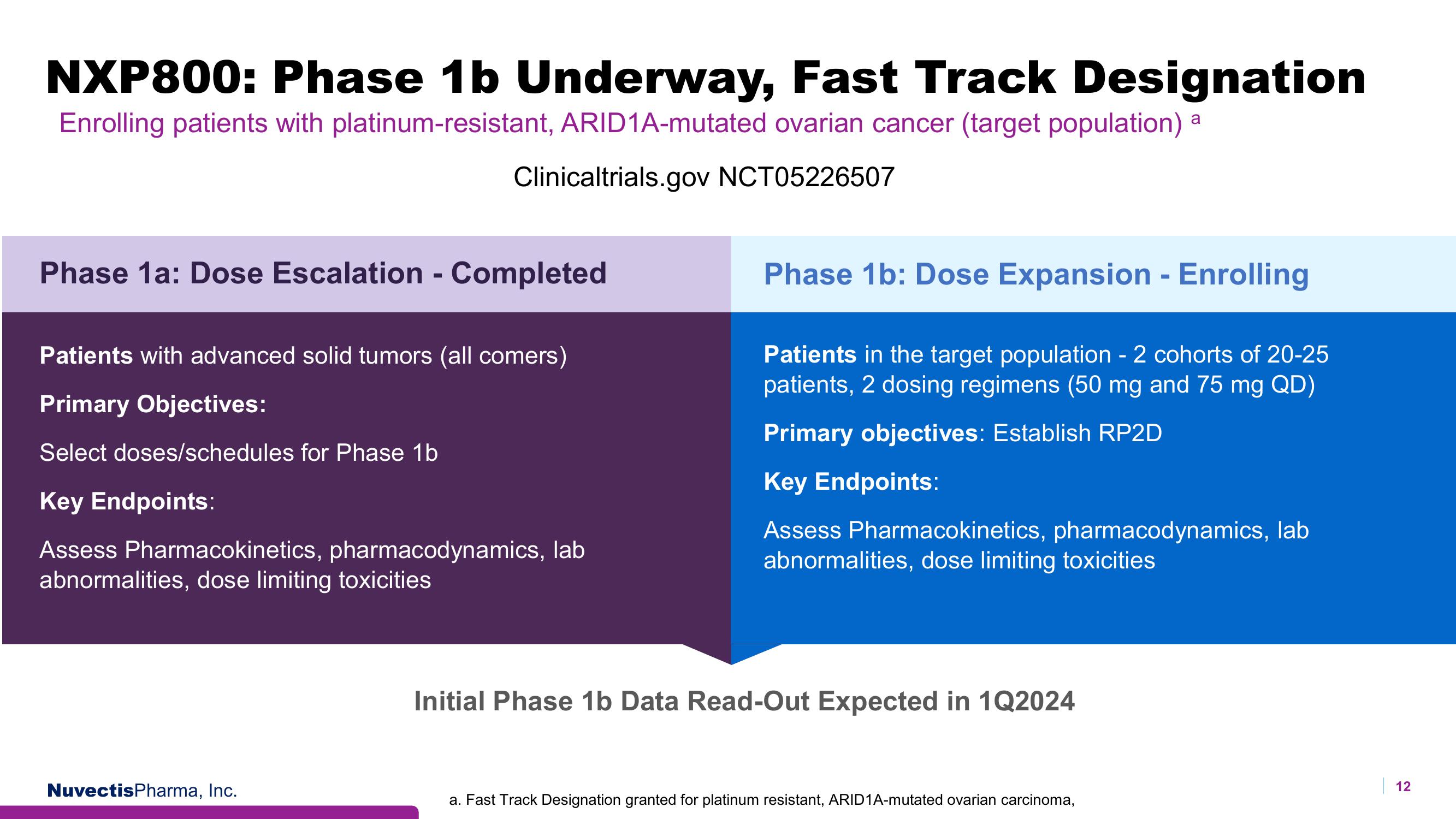 Nuvectis Pharma Investor Presentation Deck slide image #12