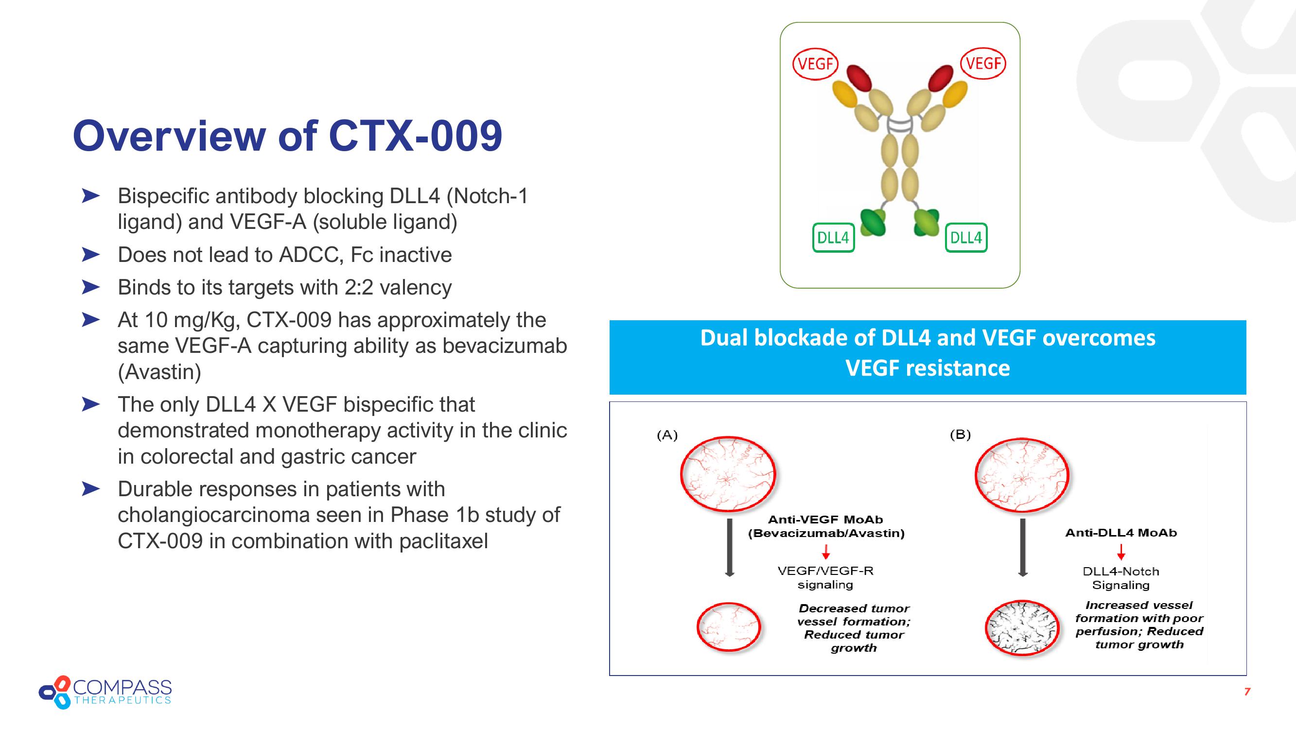 Compass Therapeutics Investor Presentation Deck slide image #7