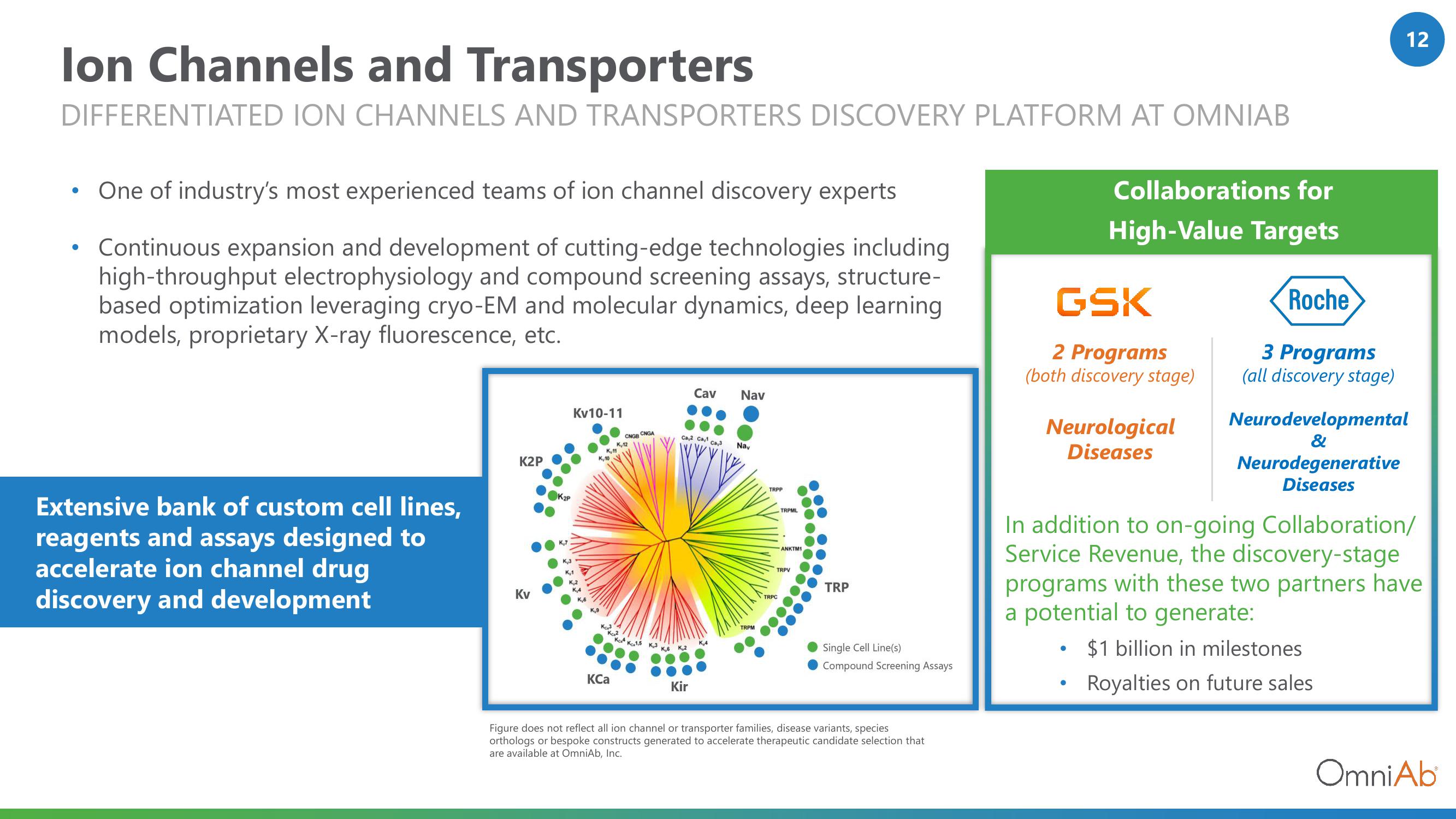 OmniAb Results Presentation Deck slide image #12