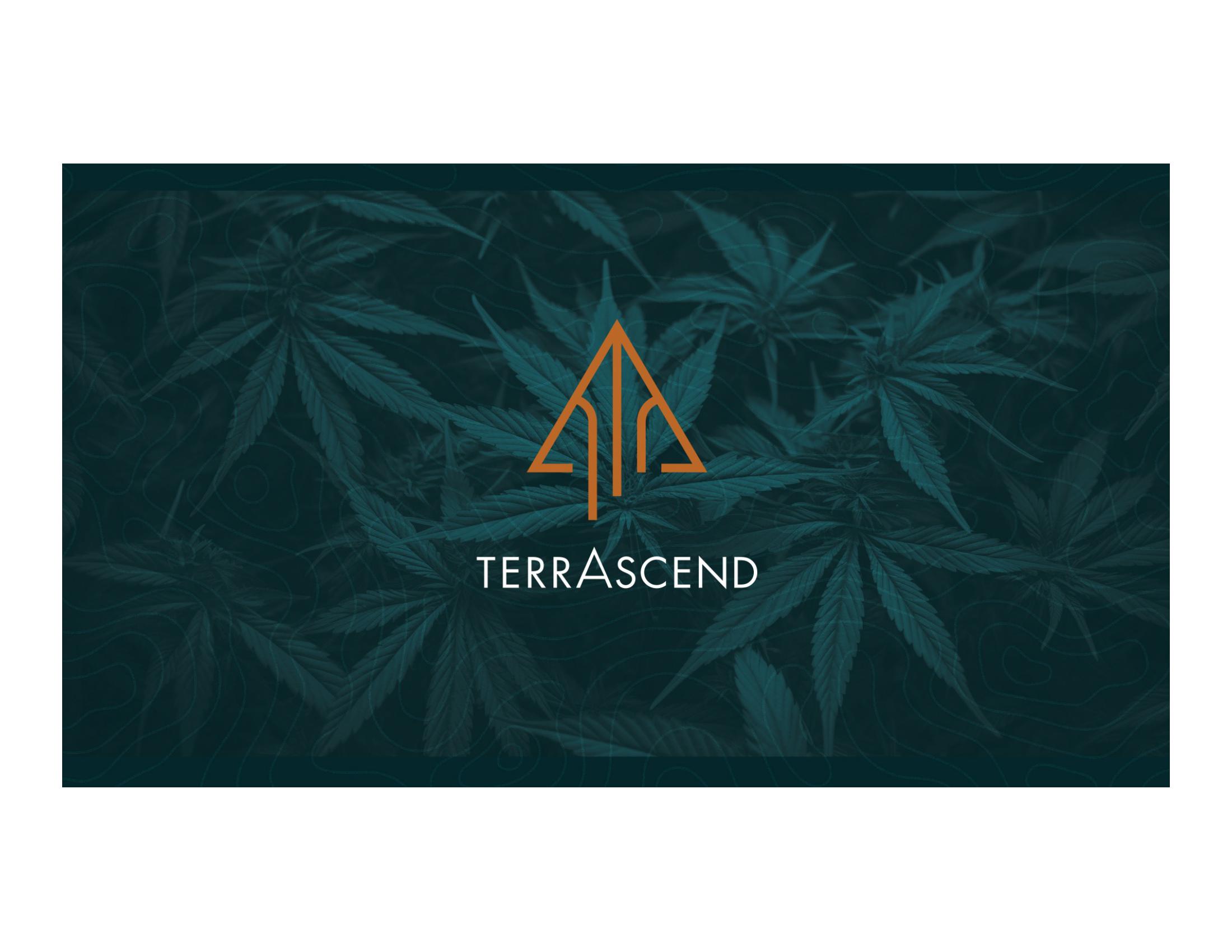 Terrascend Investor Presentation image