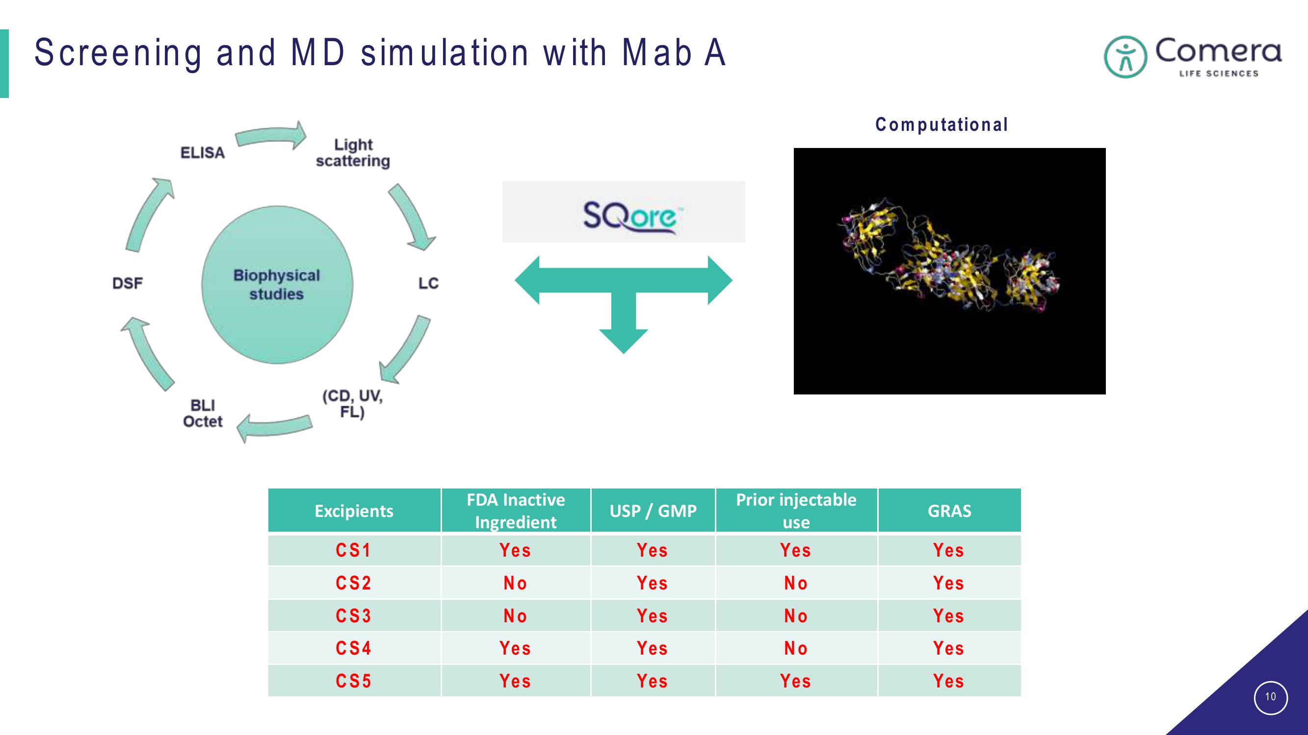 Comera Investor Presentation Deck slide image #10