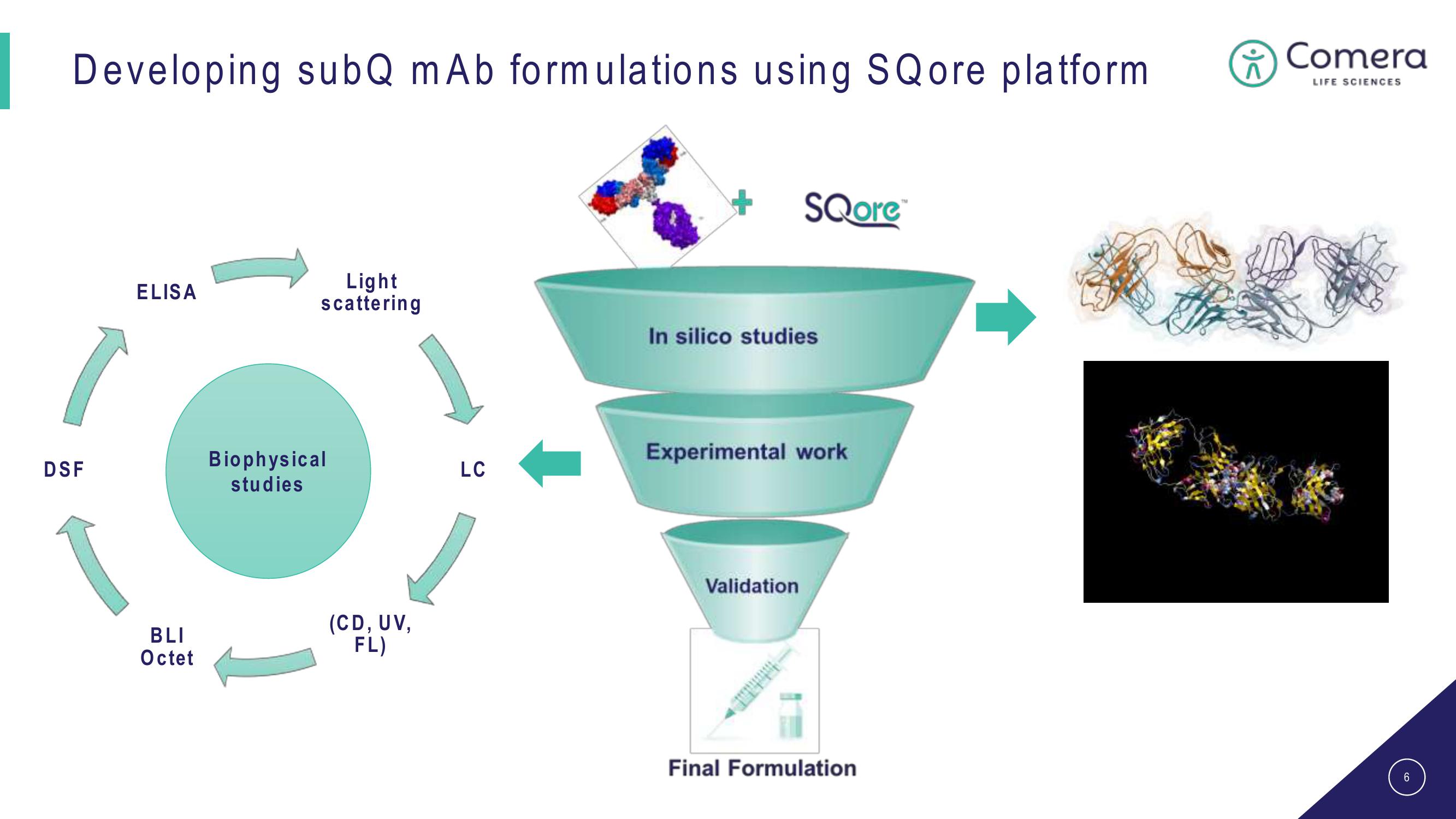 Comera Investor Presentation Deck slide image #6