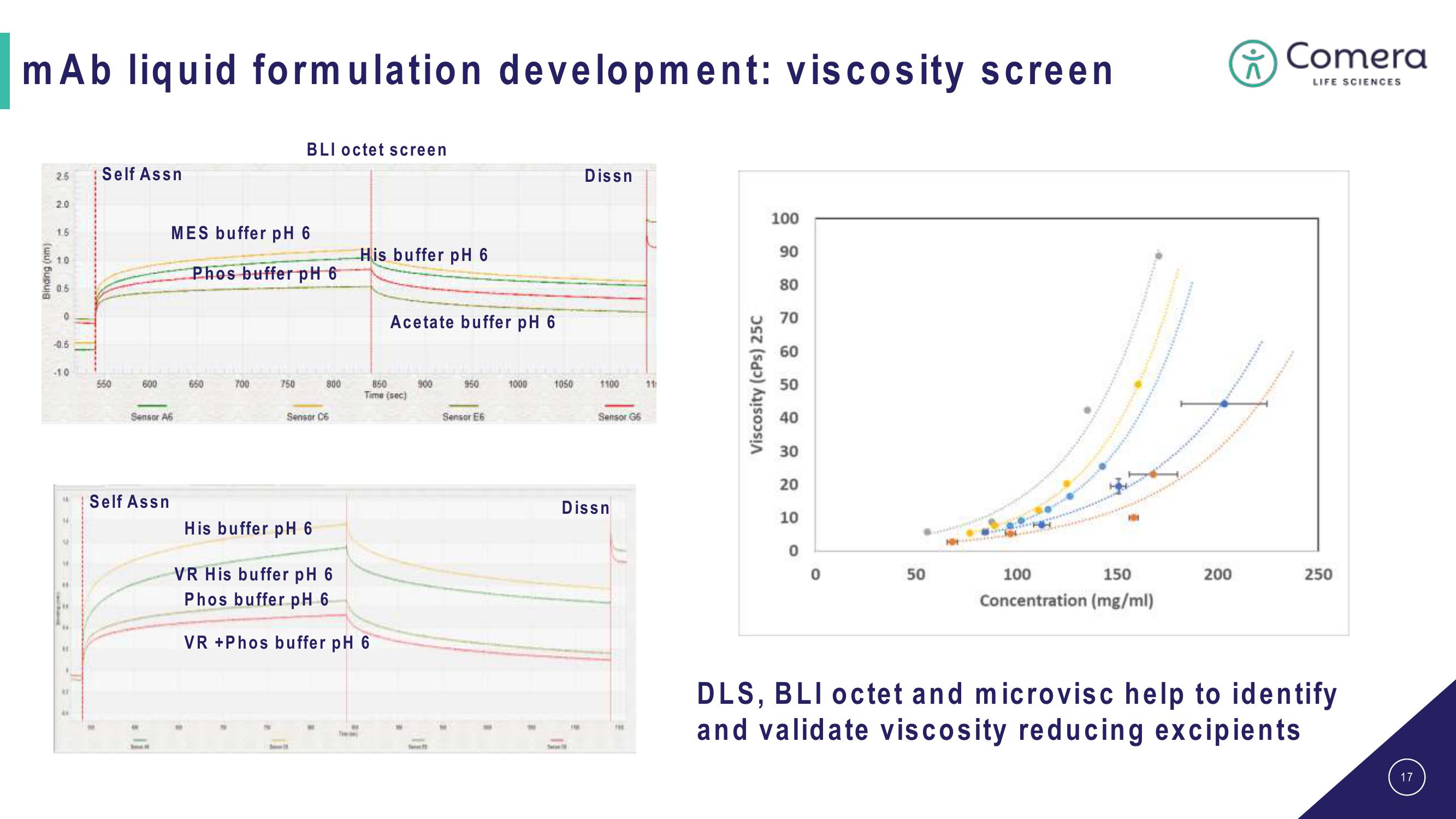 Comera Investor Presentation Deck slide image #17