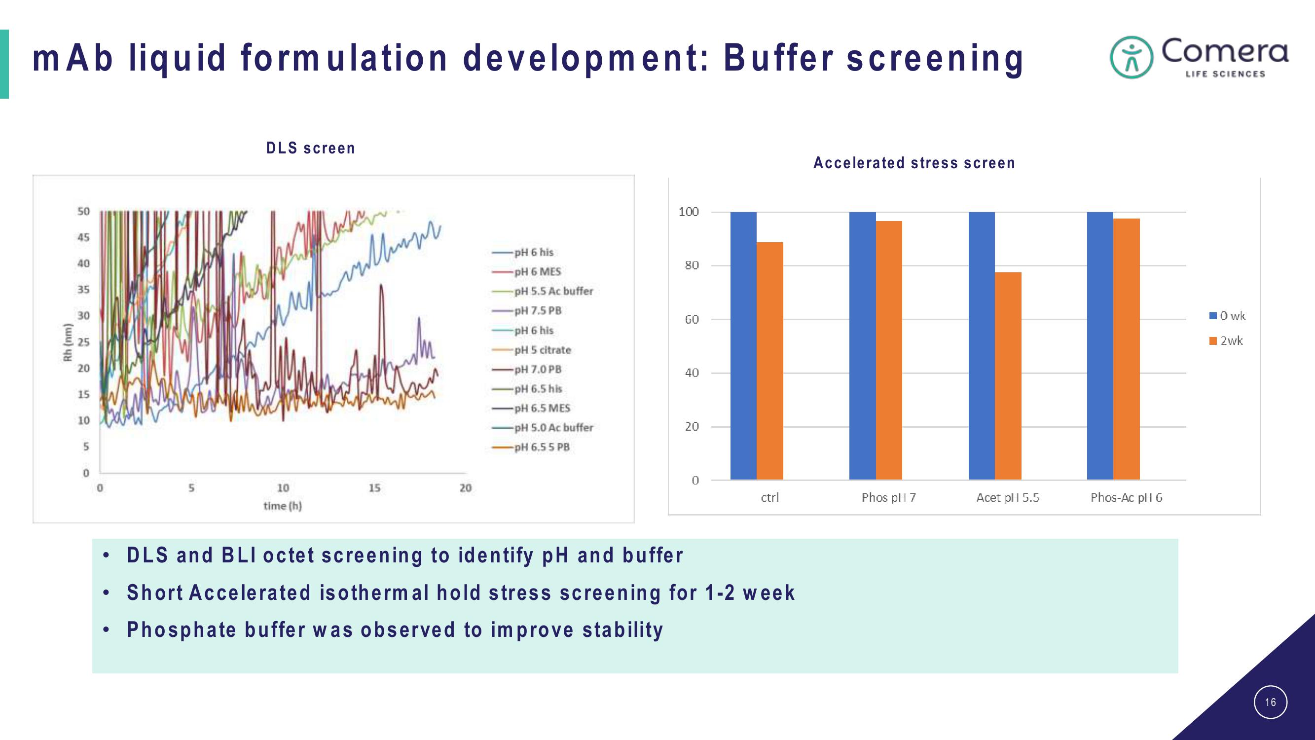 Comera Investor Presentation Deck slide image #16