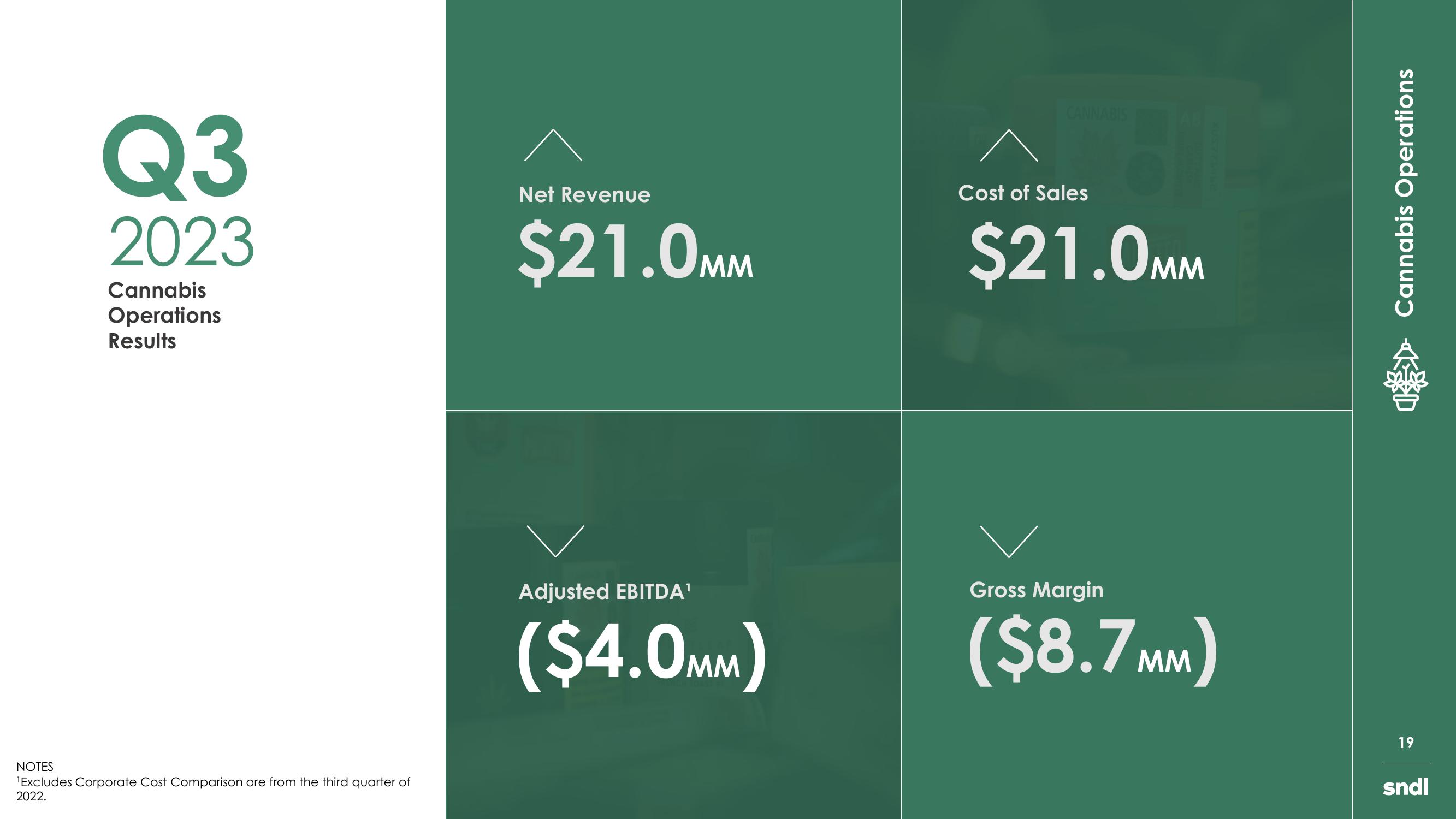 sndl Investor Presentation slide image #19