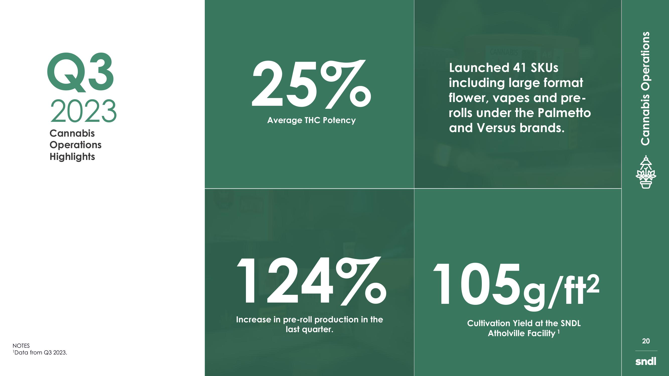 sndl Investor Presentation slide image #20