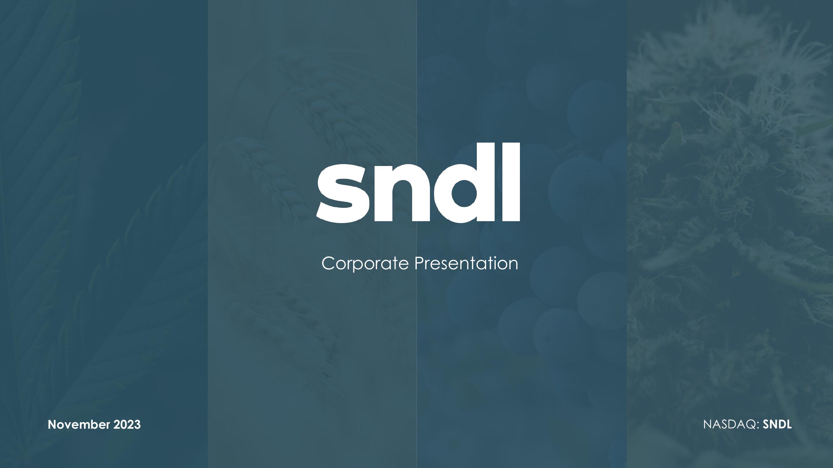 sndl Investor Presentation slide image #2