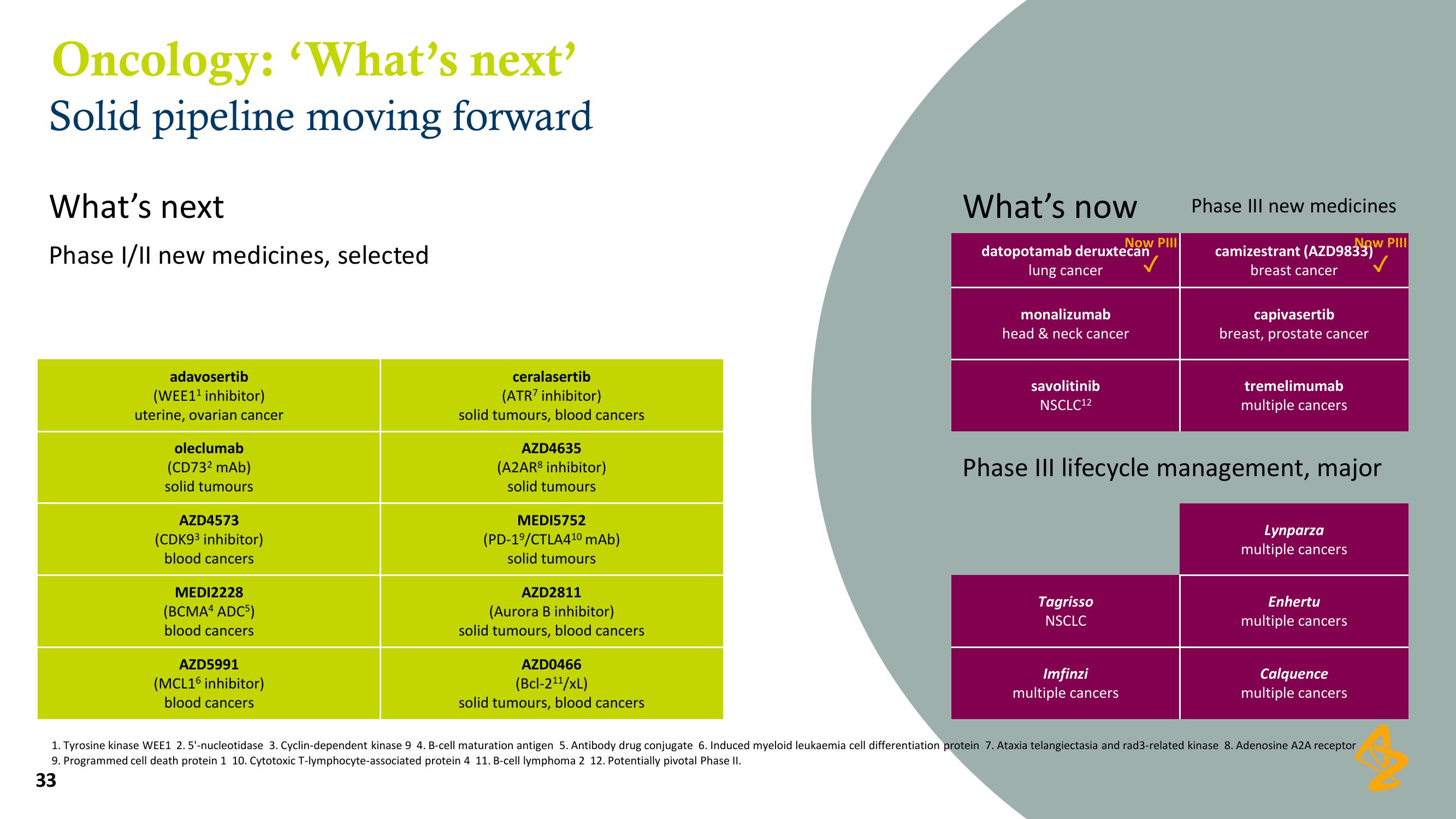 AstraZeneca Results Presentation Deck slide image #33