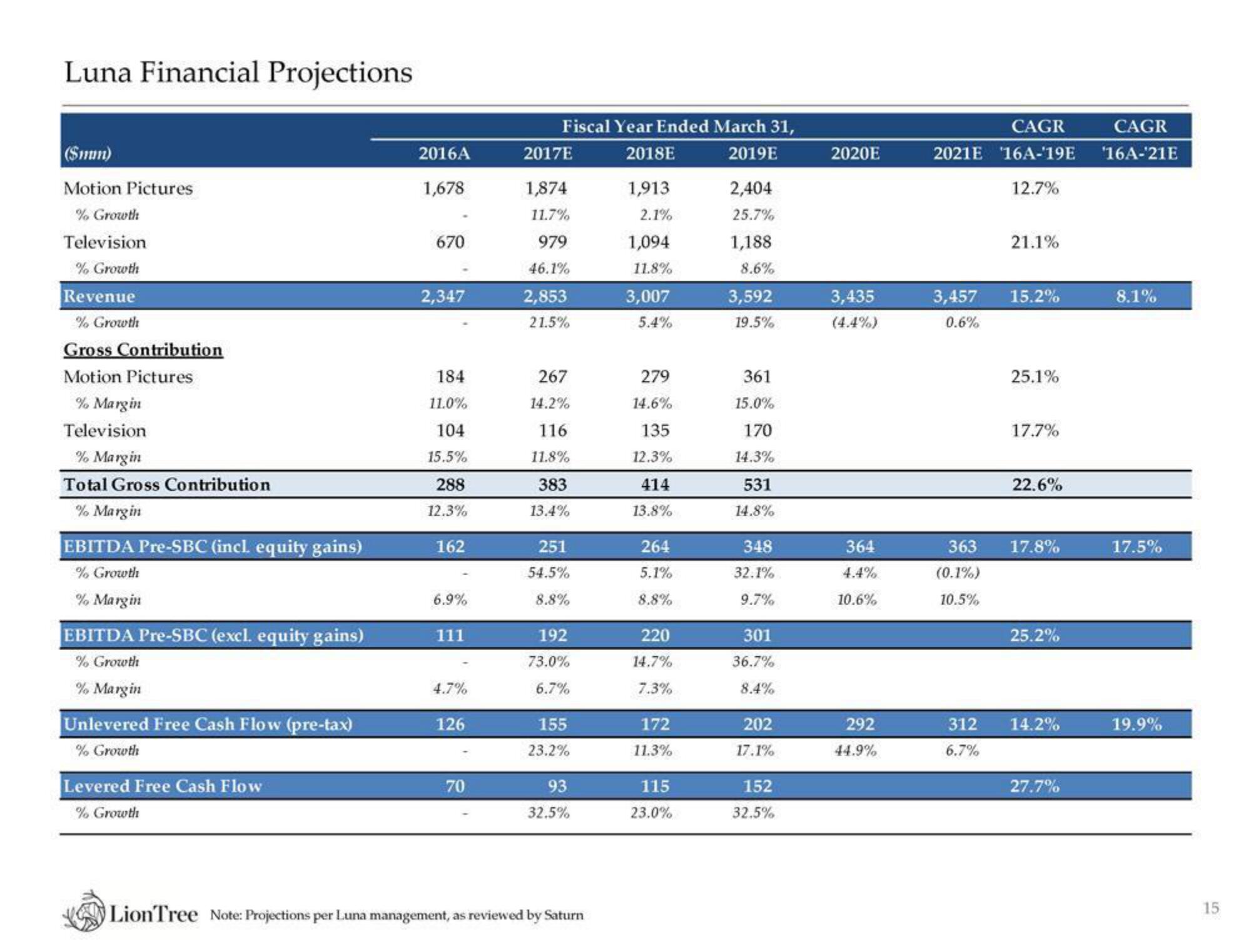 LionTree Investment Banking Pitch Book slide image #16