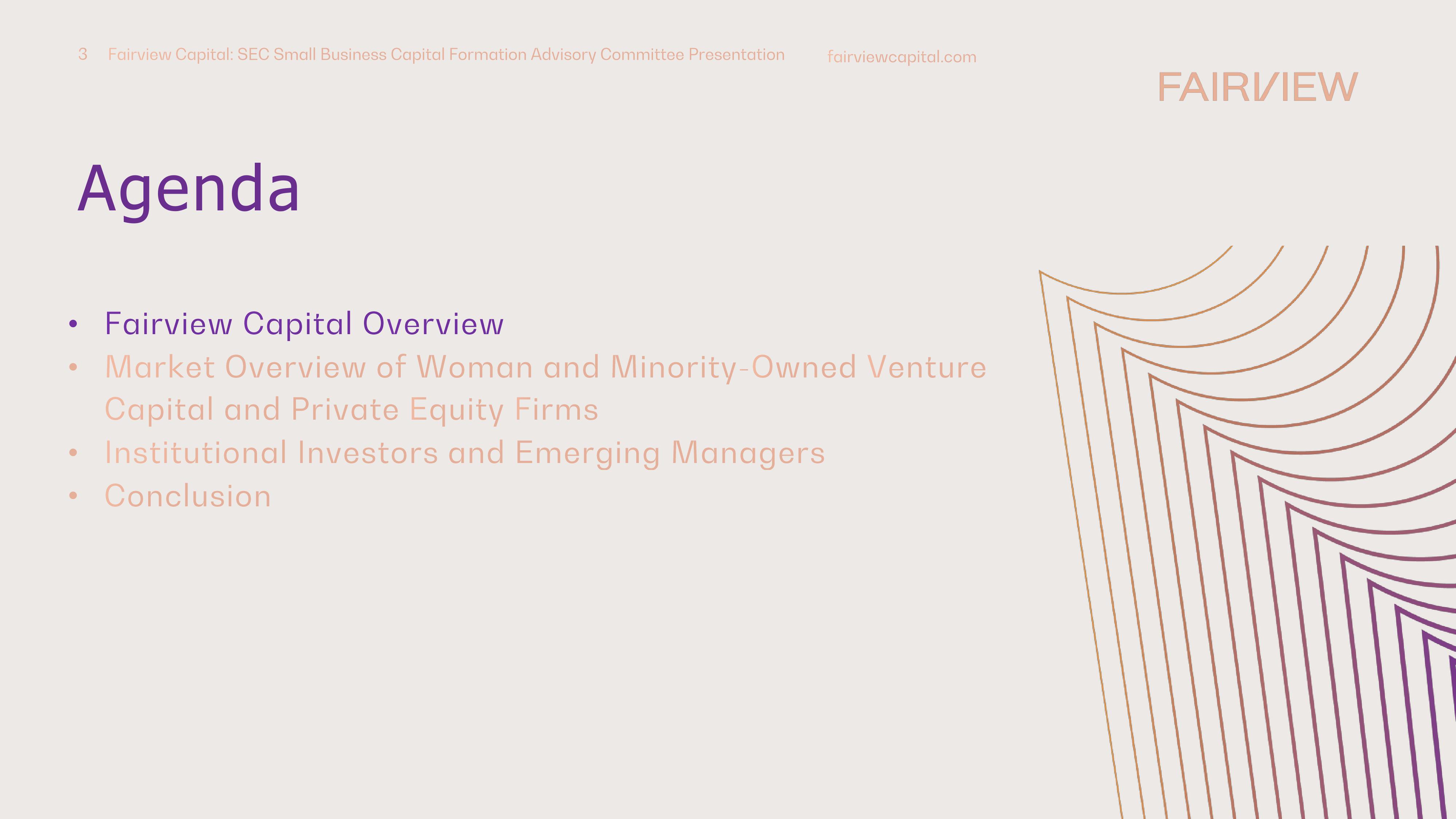 Perspectives on Diverse and Emerging Manager Investing In Venture Capital and Private Equity slide image #3