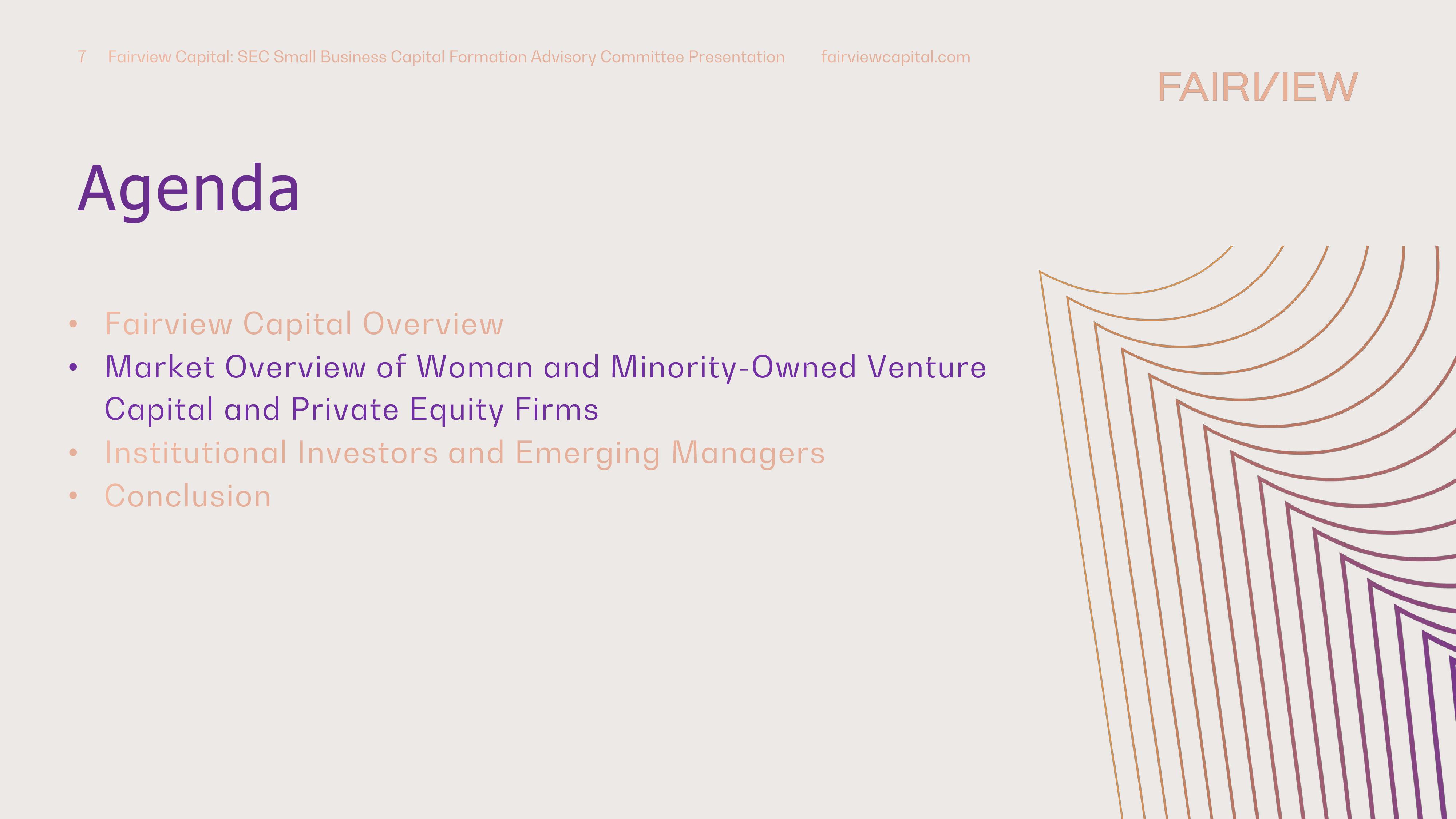 Perspectives on Diverse and Emerging Manager Investing In Venture Capital and Private Equity slide image #7