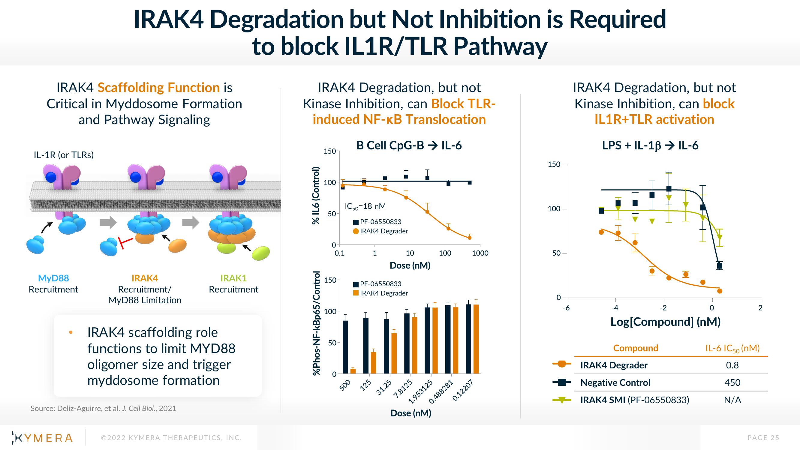 Kymera Results Presentation Deck slide image #25