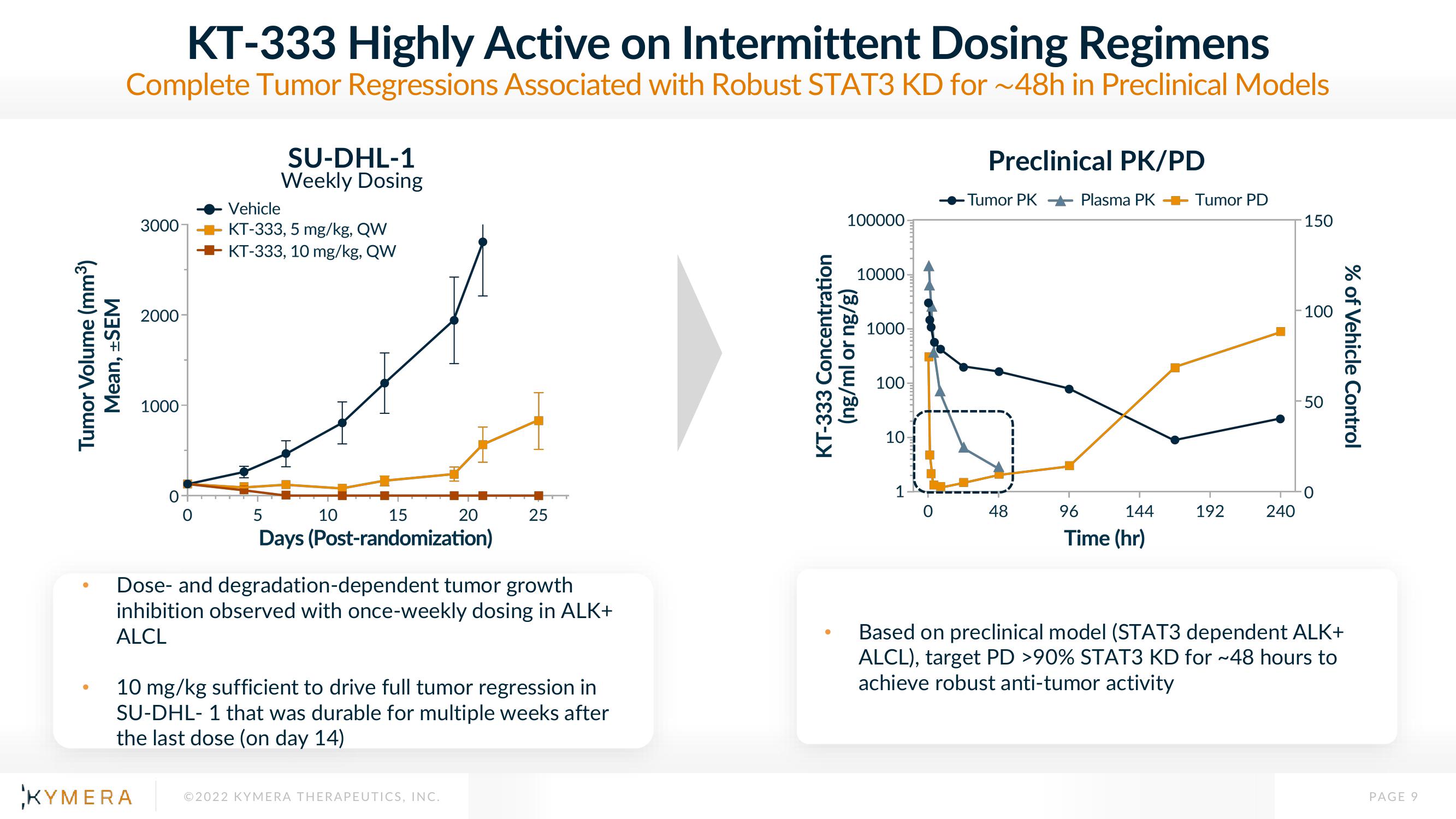 Kymera Results Presentation Deck slide image #9