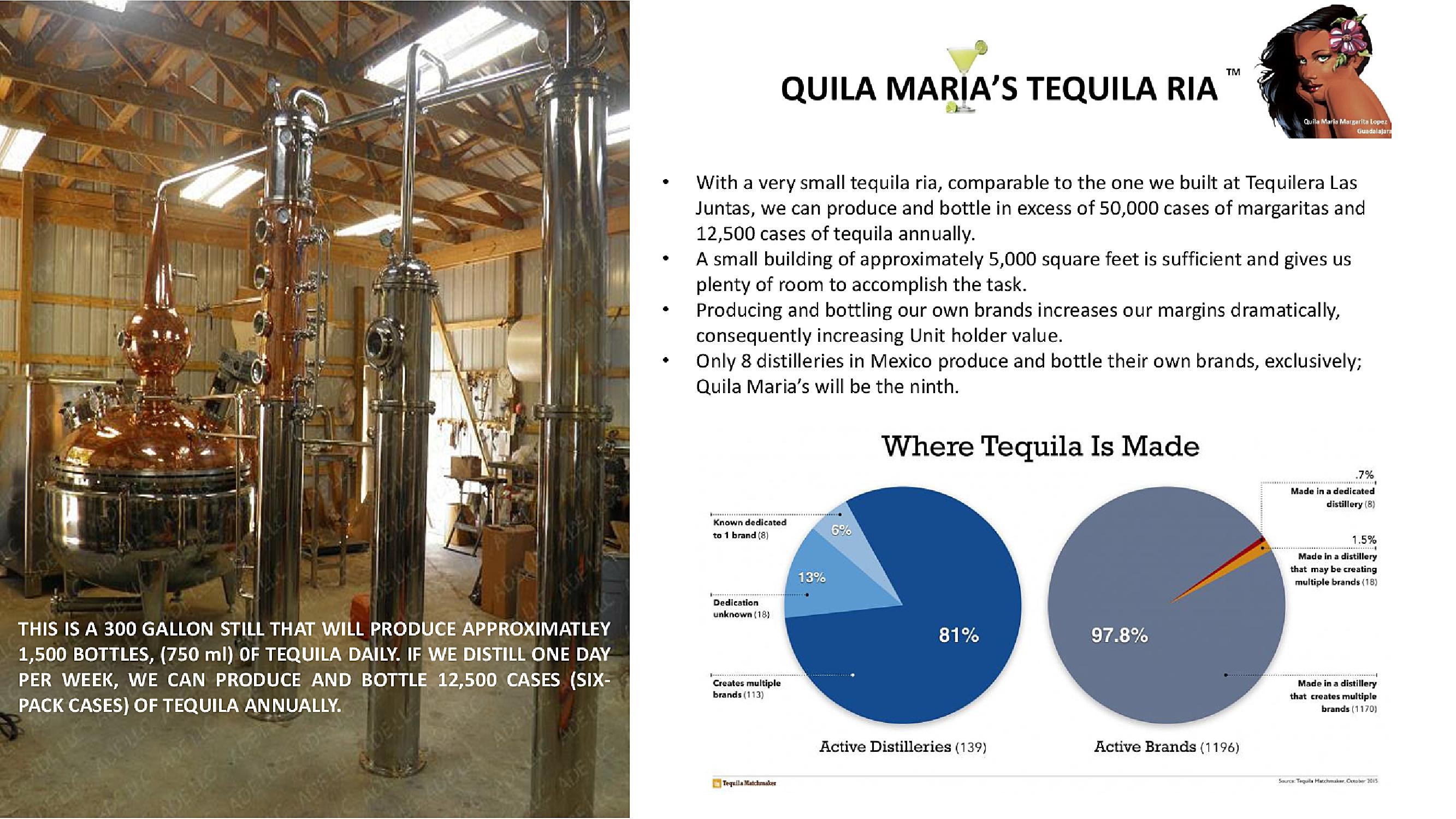 Qila Marias Tequila Ria Crowdfund Pitch Deck slide image #6