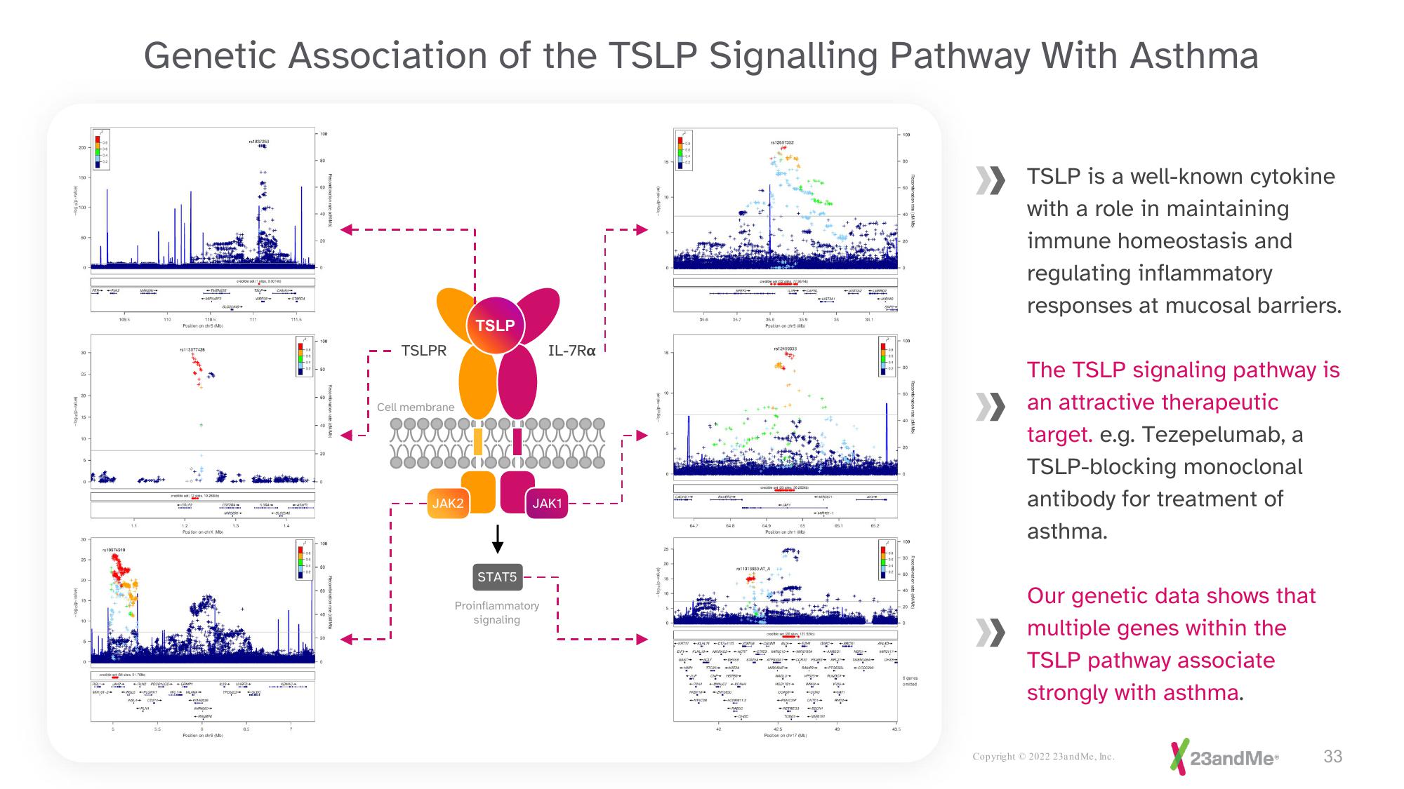 23andMe Investor Presentation Deck slide image #33