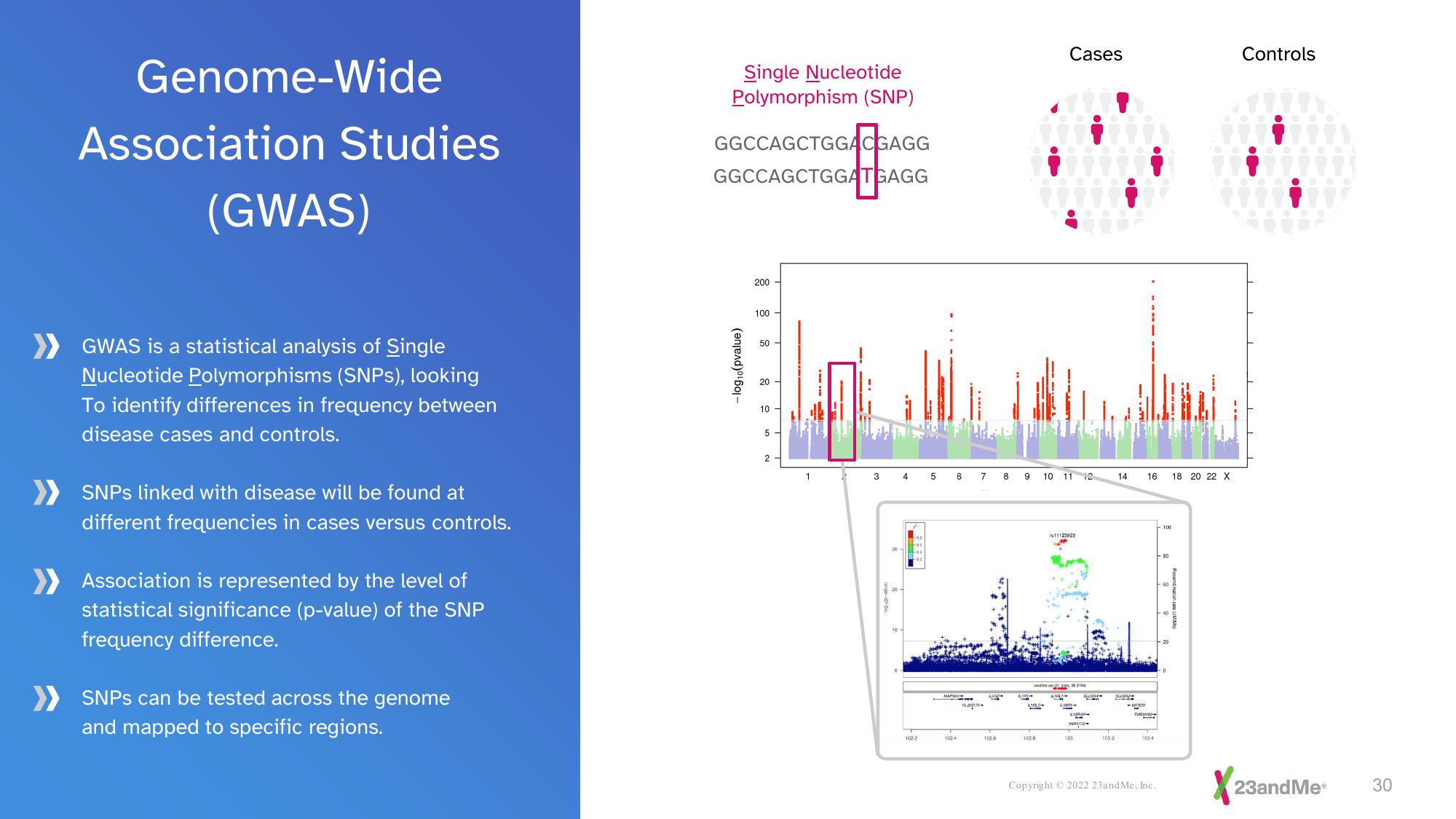 23andMe Investor Presentation Deck slide image #30