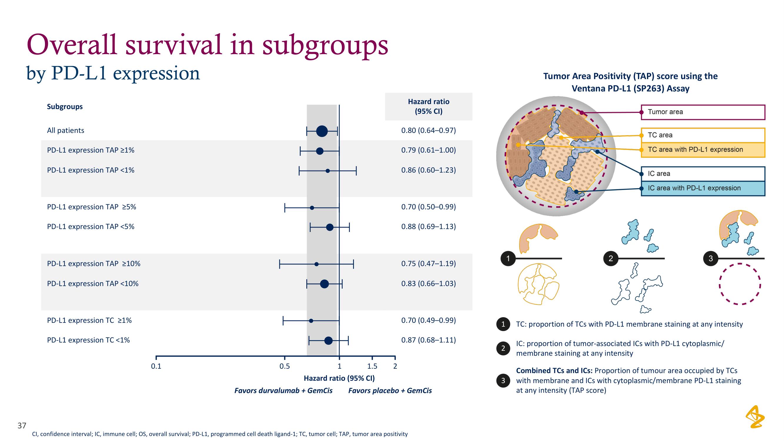 AstraZeneca Investor Day Presentation Deck slide image #37