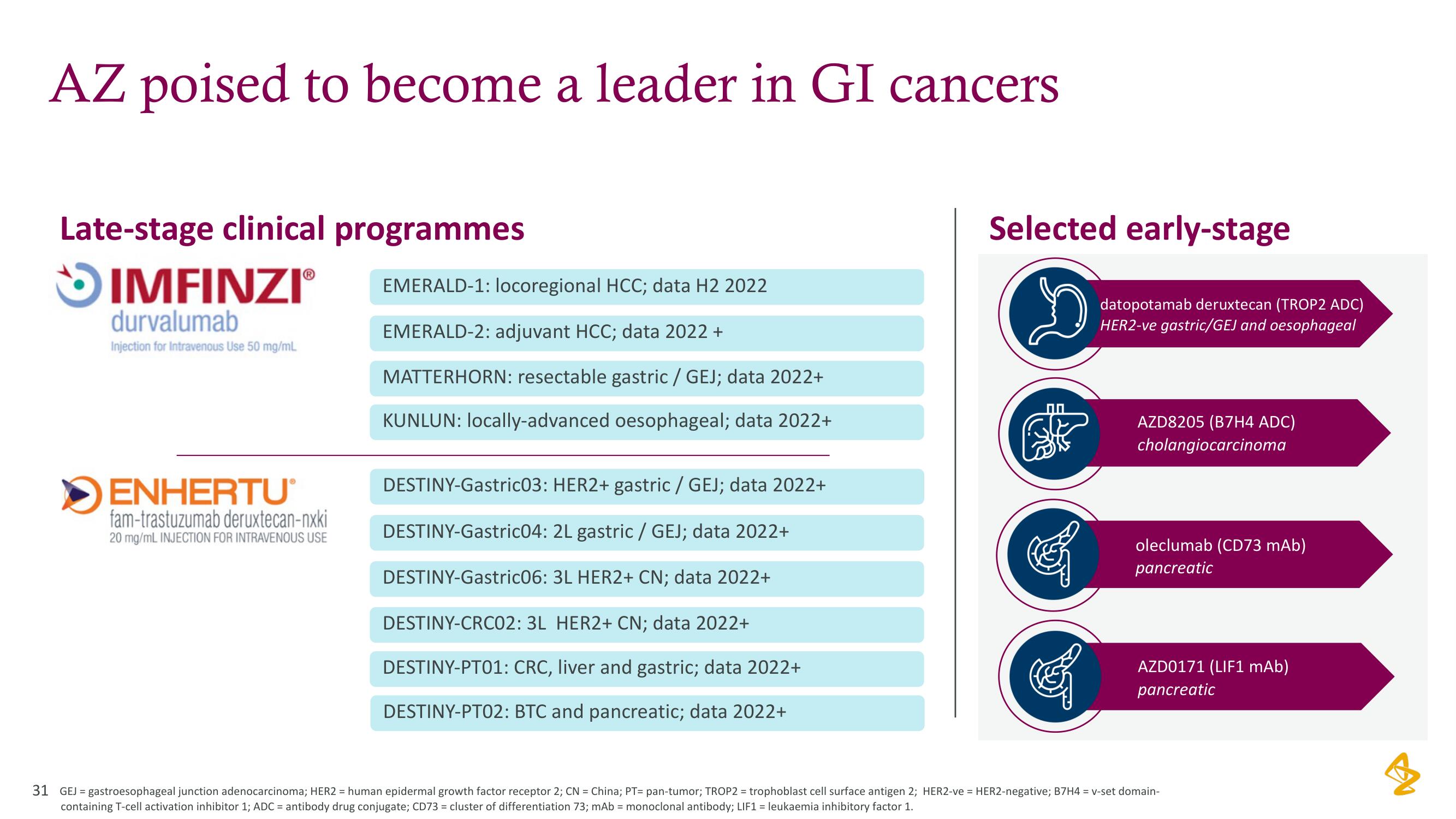 AstraZeneca Investor Day Presentation Deck slide image #31