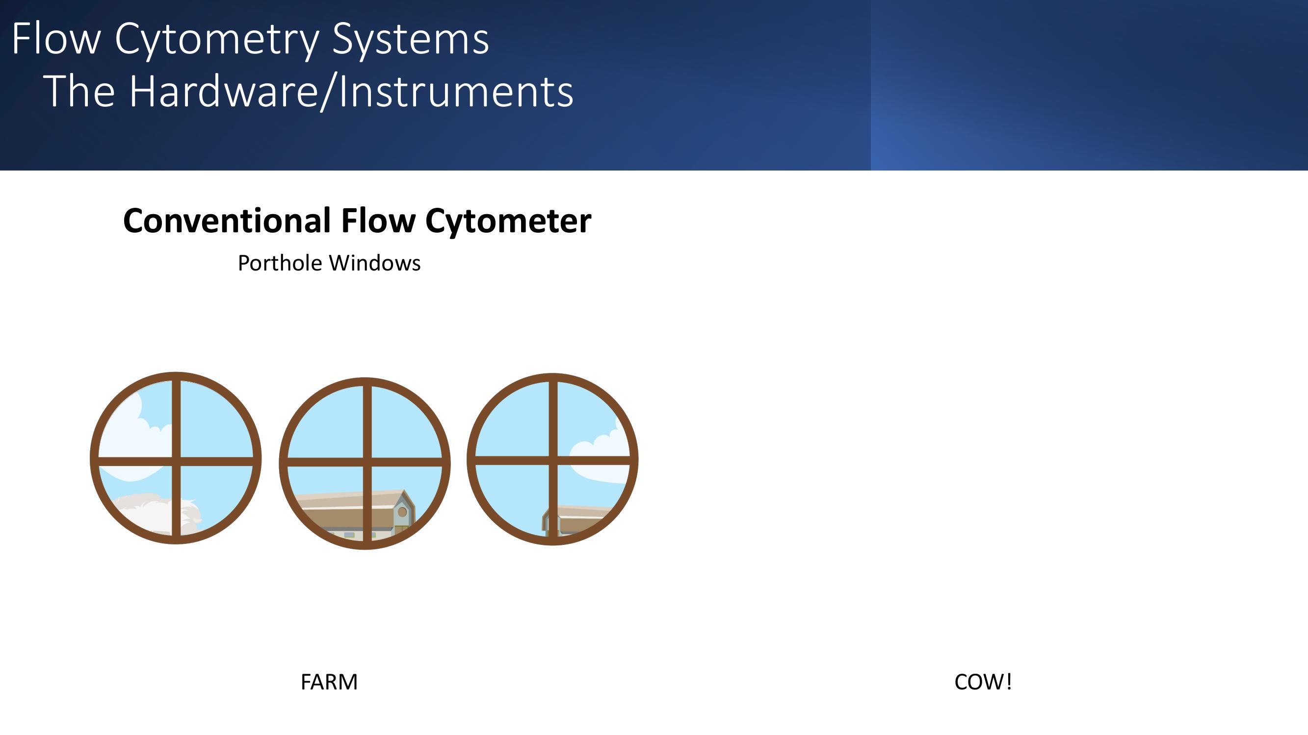 Cytek Investor Day Presentation Deck slide image #82