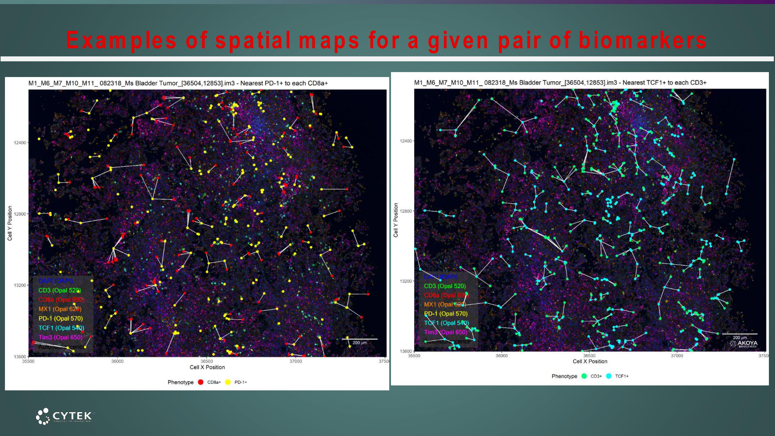 Cytek Investor Day Presentation Deck slide image #51