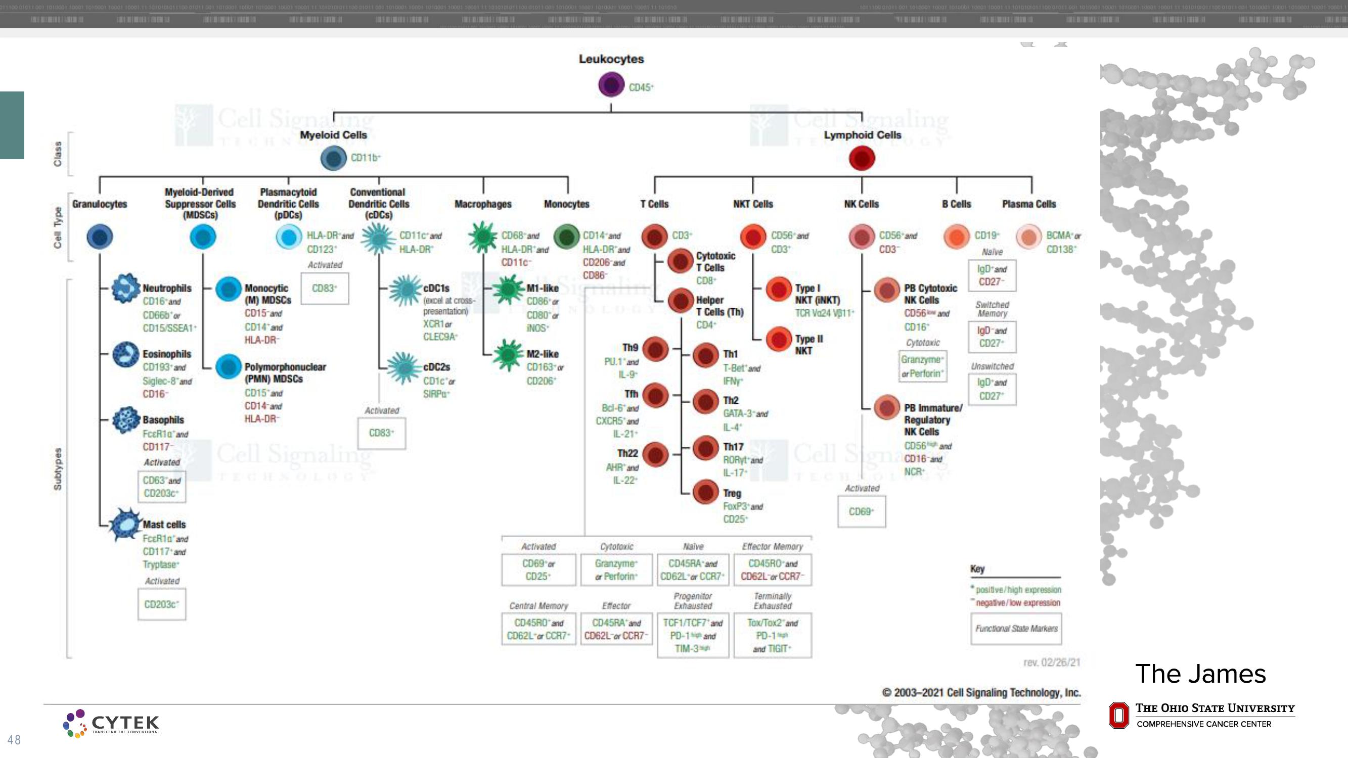 Cytek Investor Day Presentation Deck slide image #48