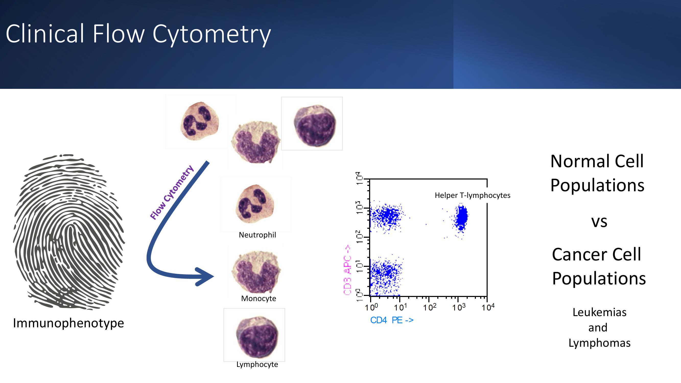 Cytek Investor Day Presentation Deck slide image #77