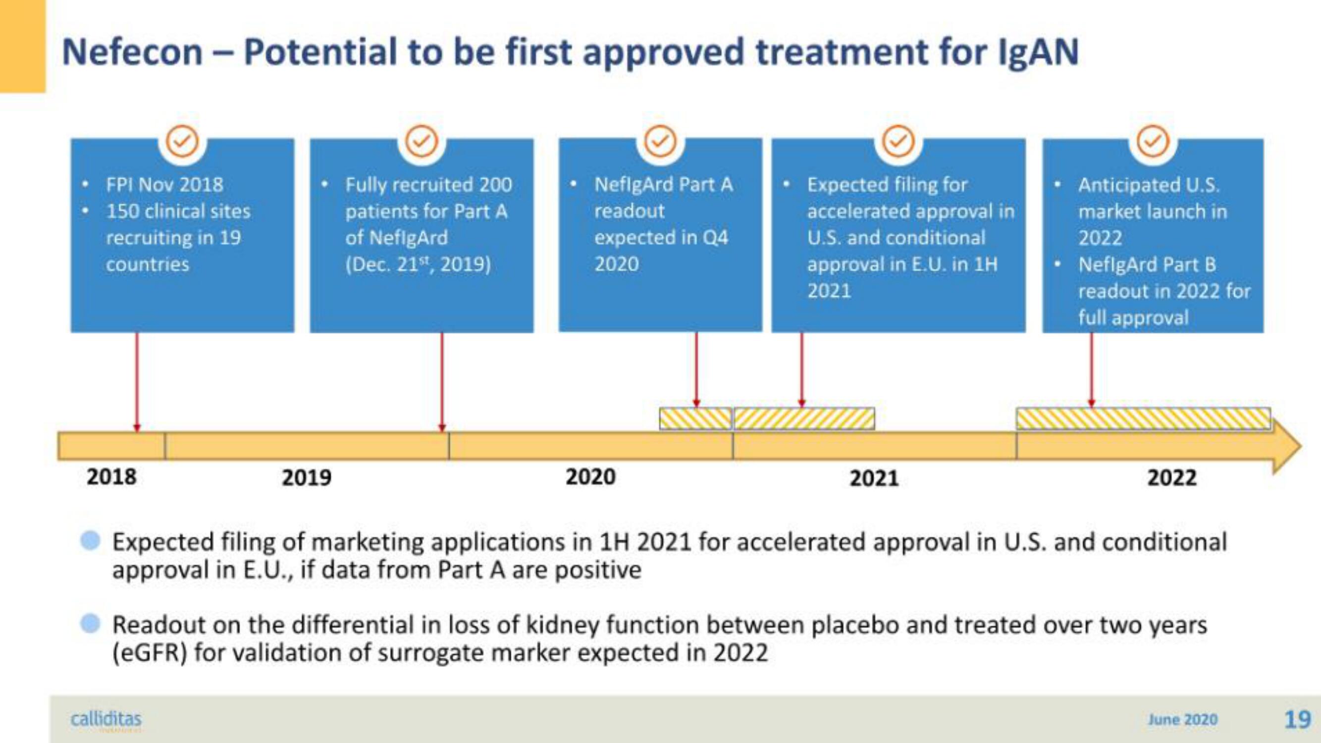 Calliditas Therapeutics IPO Presentation Deck slide image #19