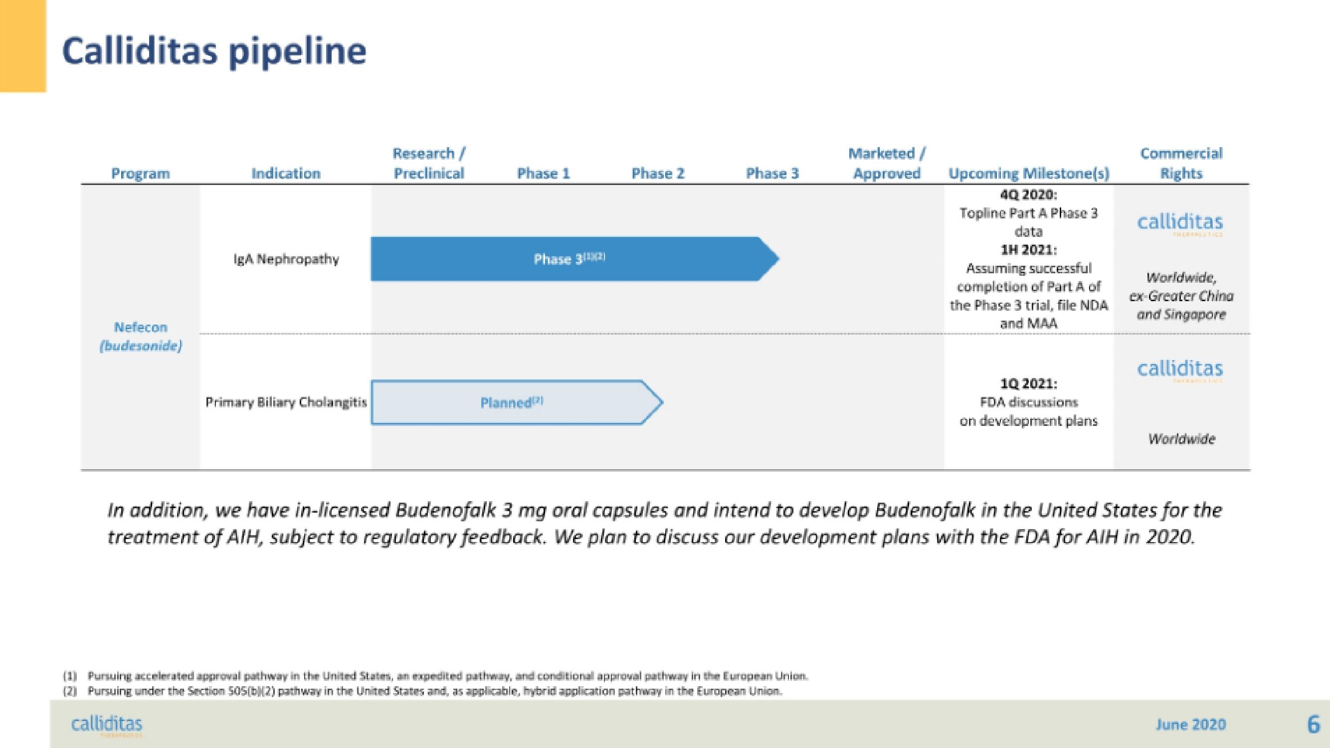 Calliditas Therapeutics IPO Presentation Deck slide image #6