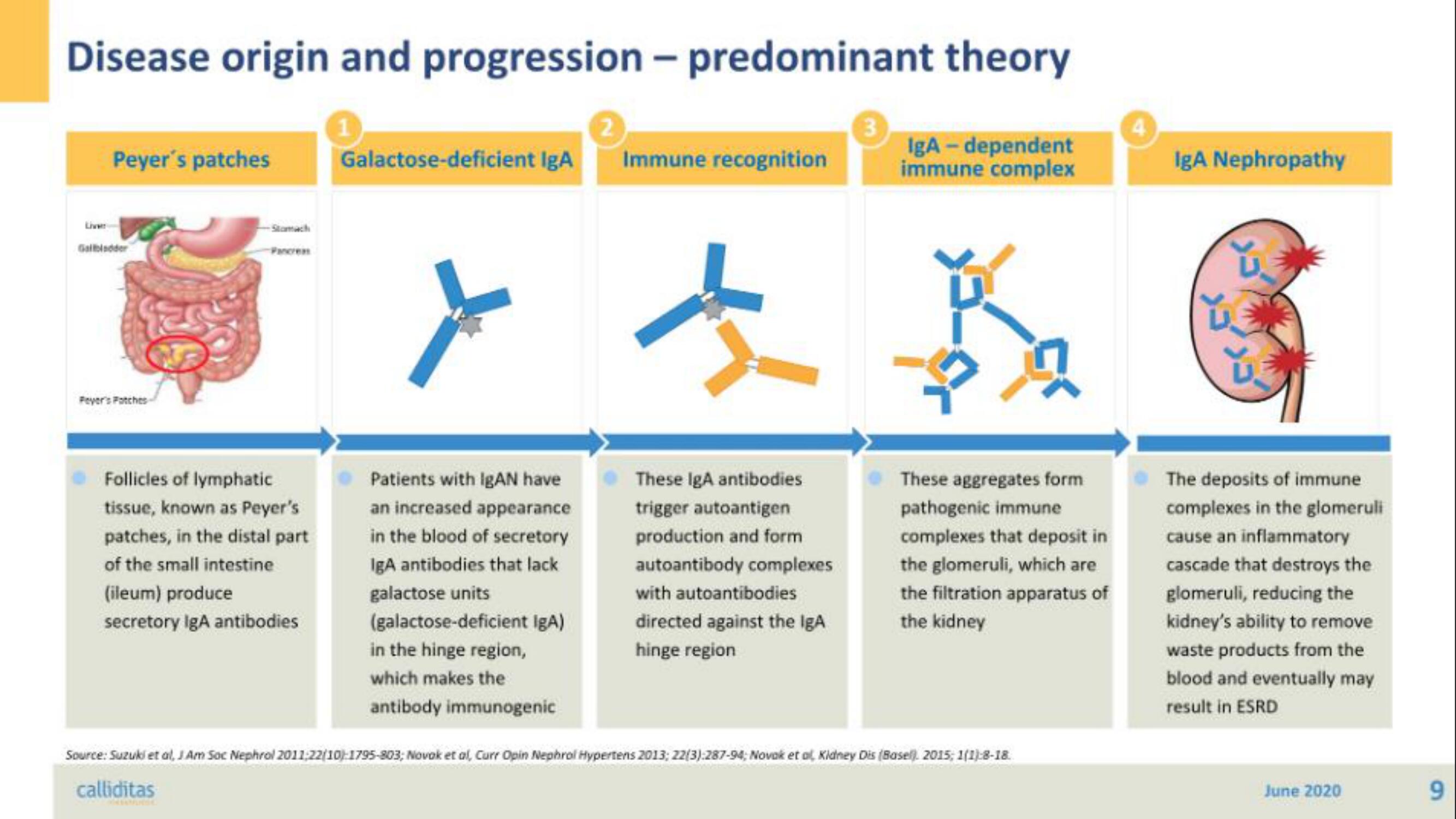 Calliditas Therapeutics IPO Presentation Deck slide image #9