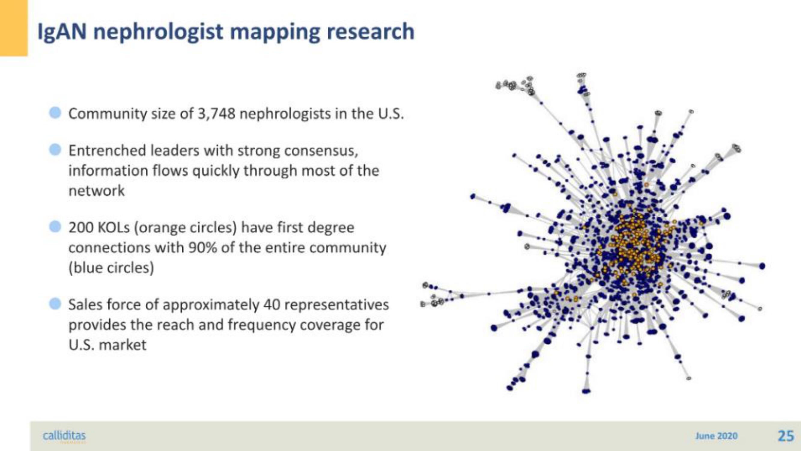 Calliditas Therapeutics IPO Presentation Deck slide image #25