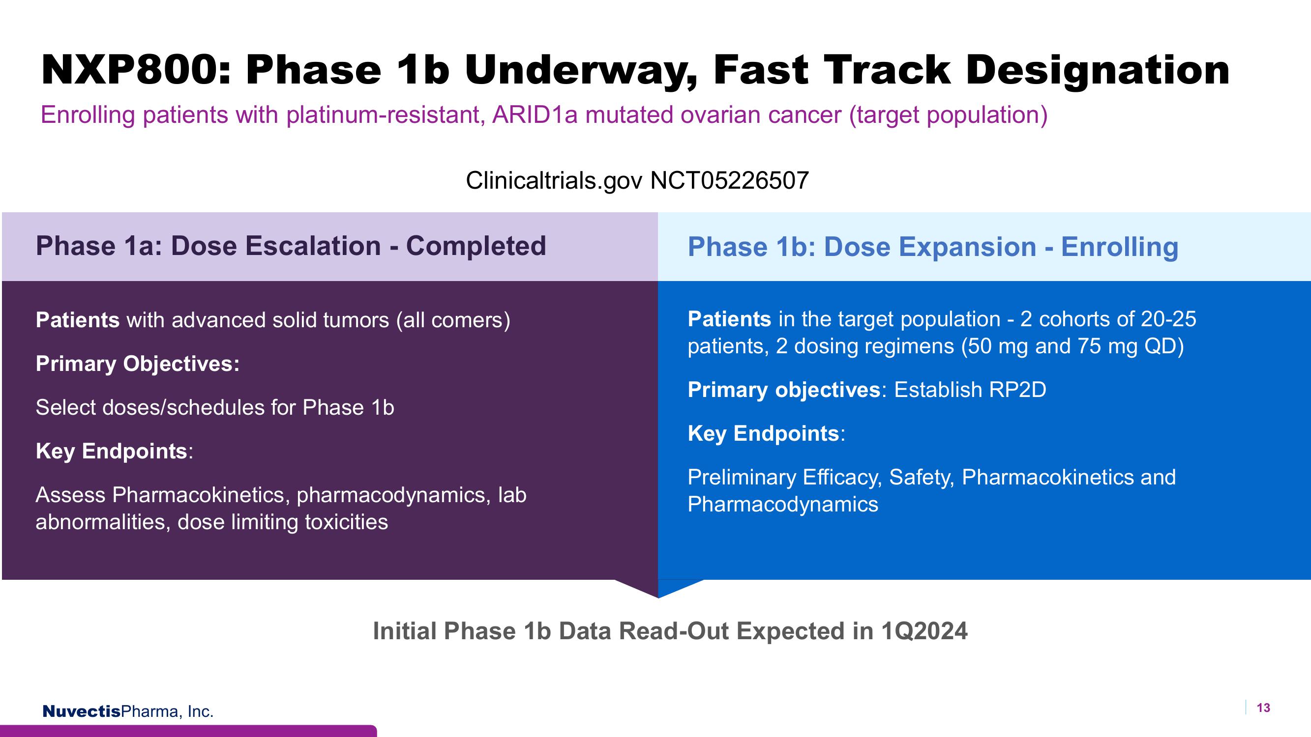 Nuvectis Pharma Investor Presentation Deck slide image #13