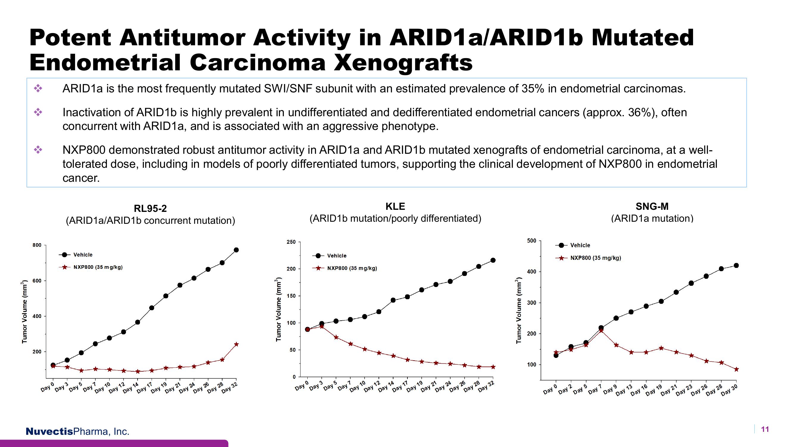 Nuvectis Pharma Investor Presentation Deck slide image #11