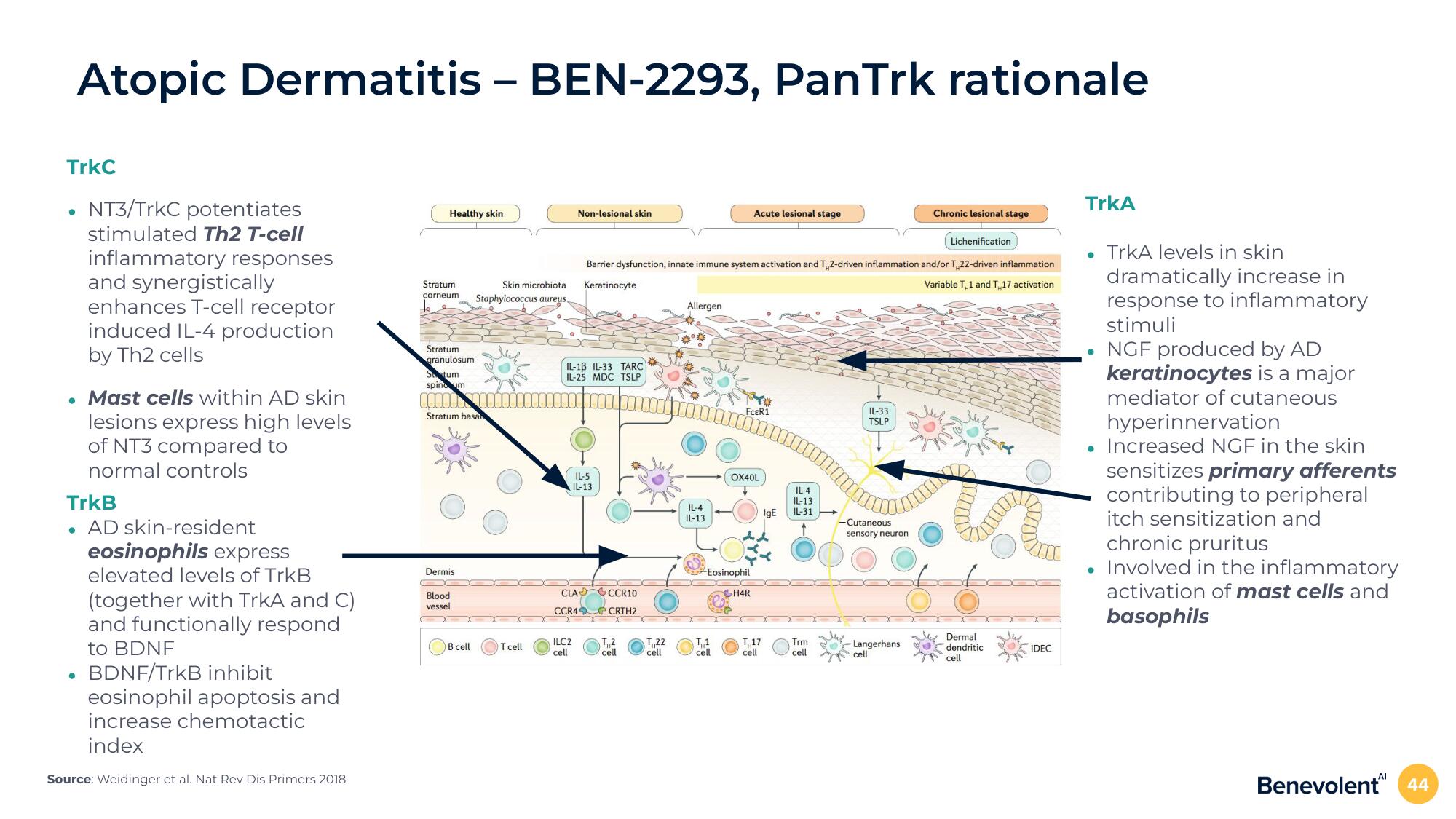 BenevolentAI Investor Day Presentation Deck slide image #44