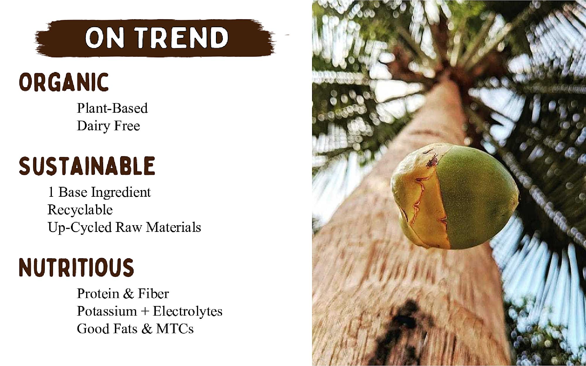 Millennial Shoppers Demand Natural and Sustainable Consumable Goods slide image #6