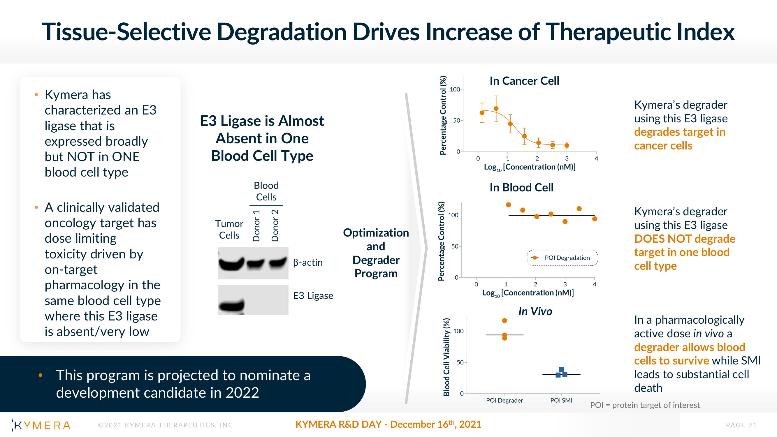 Kymera Investor Day Presentation Deck slide image #91