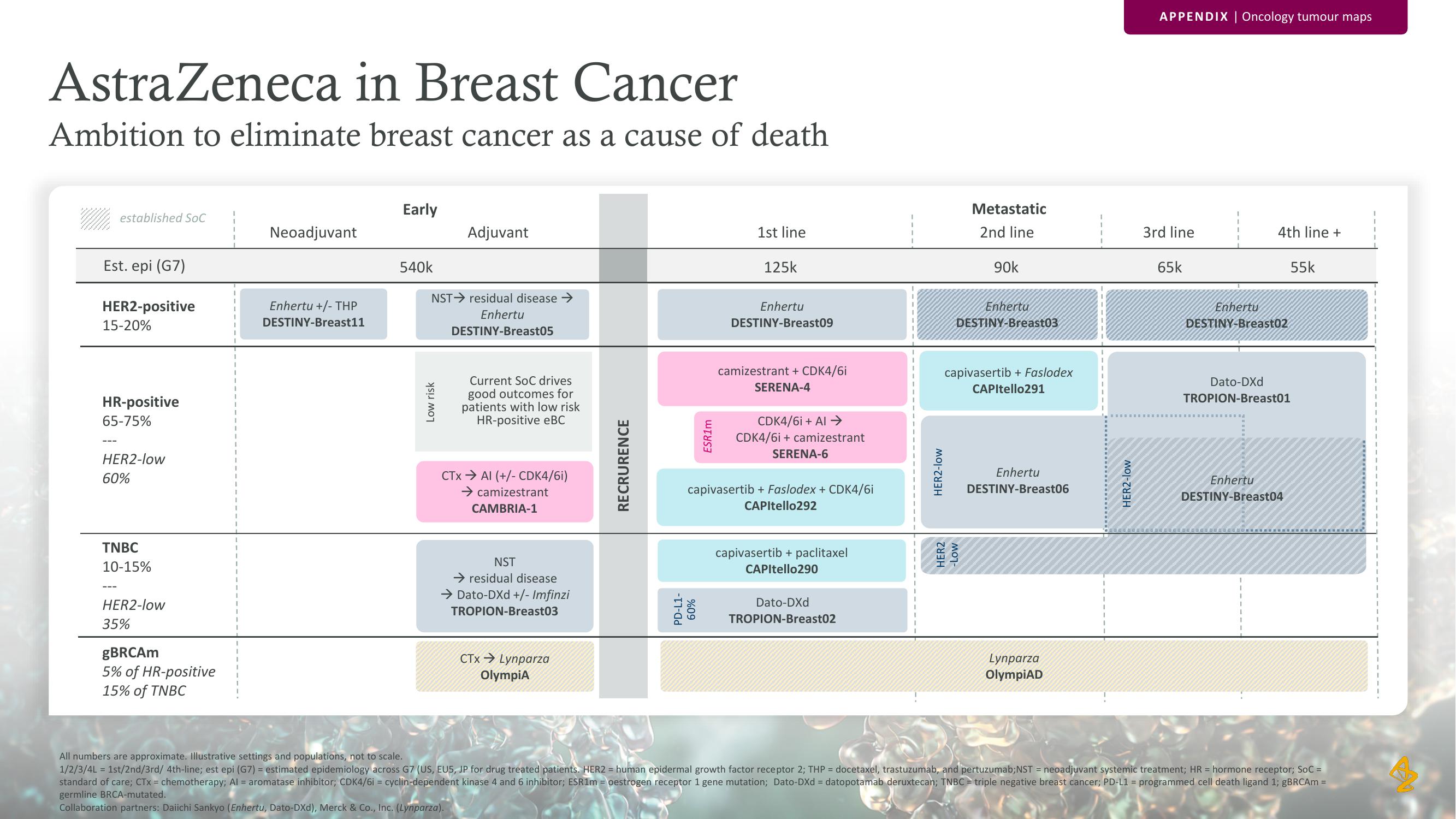 AstraZeneca Results Presentation Deck slide image #36